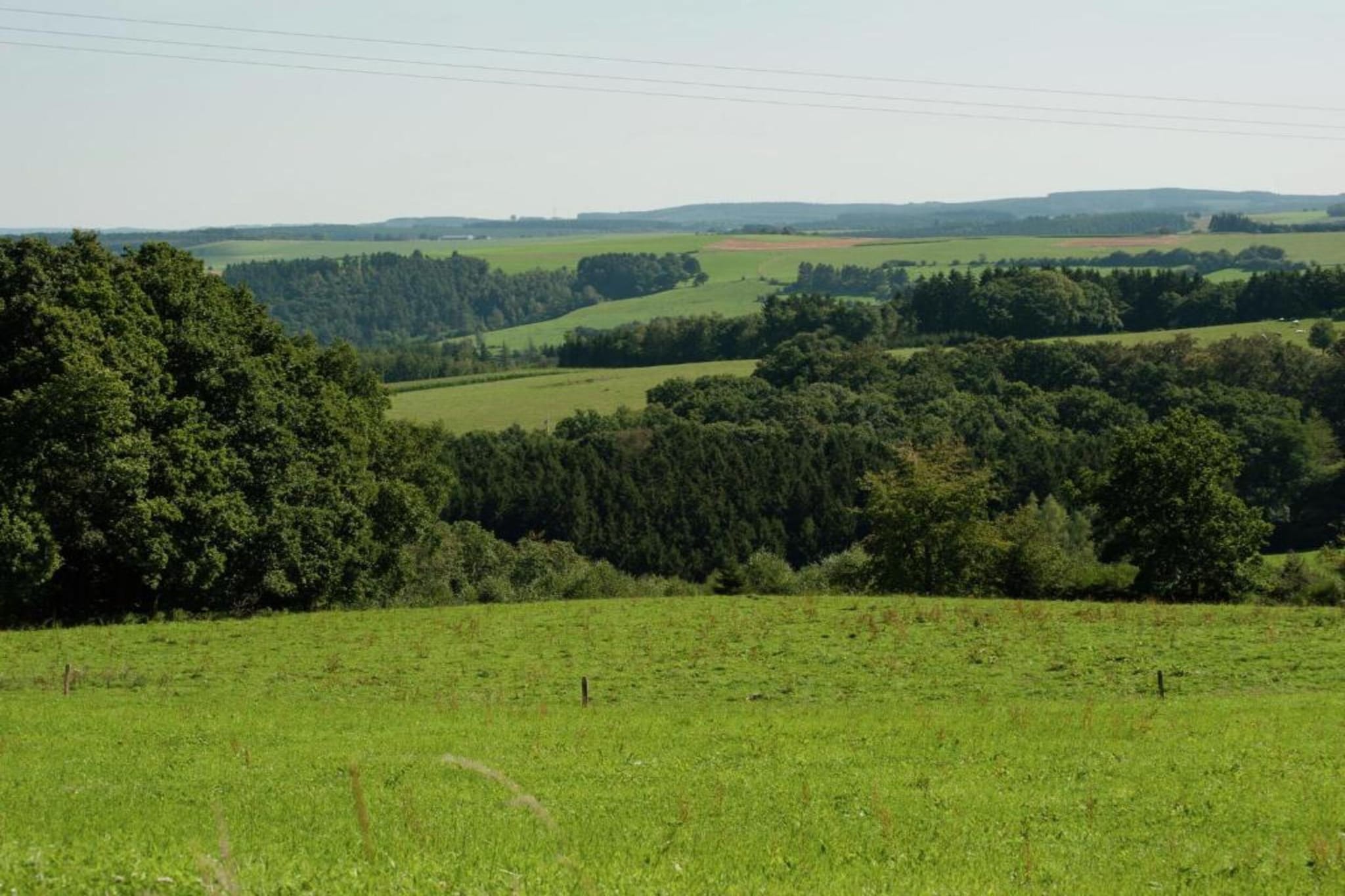 Lesternid-Areas summer 20km