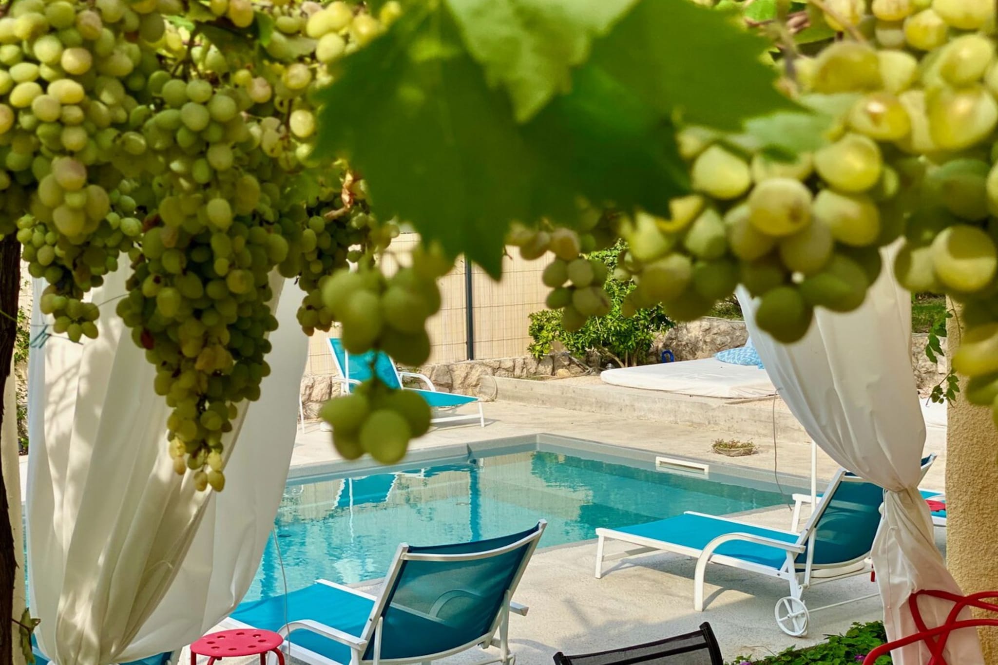 Villa Dube Slano Guest House - Superior One Bedroom Apartment with Sea View and Terrace - Zwembad
