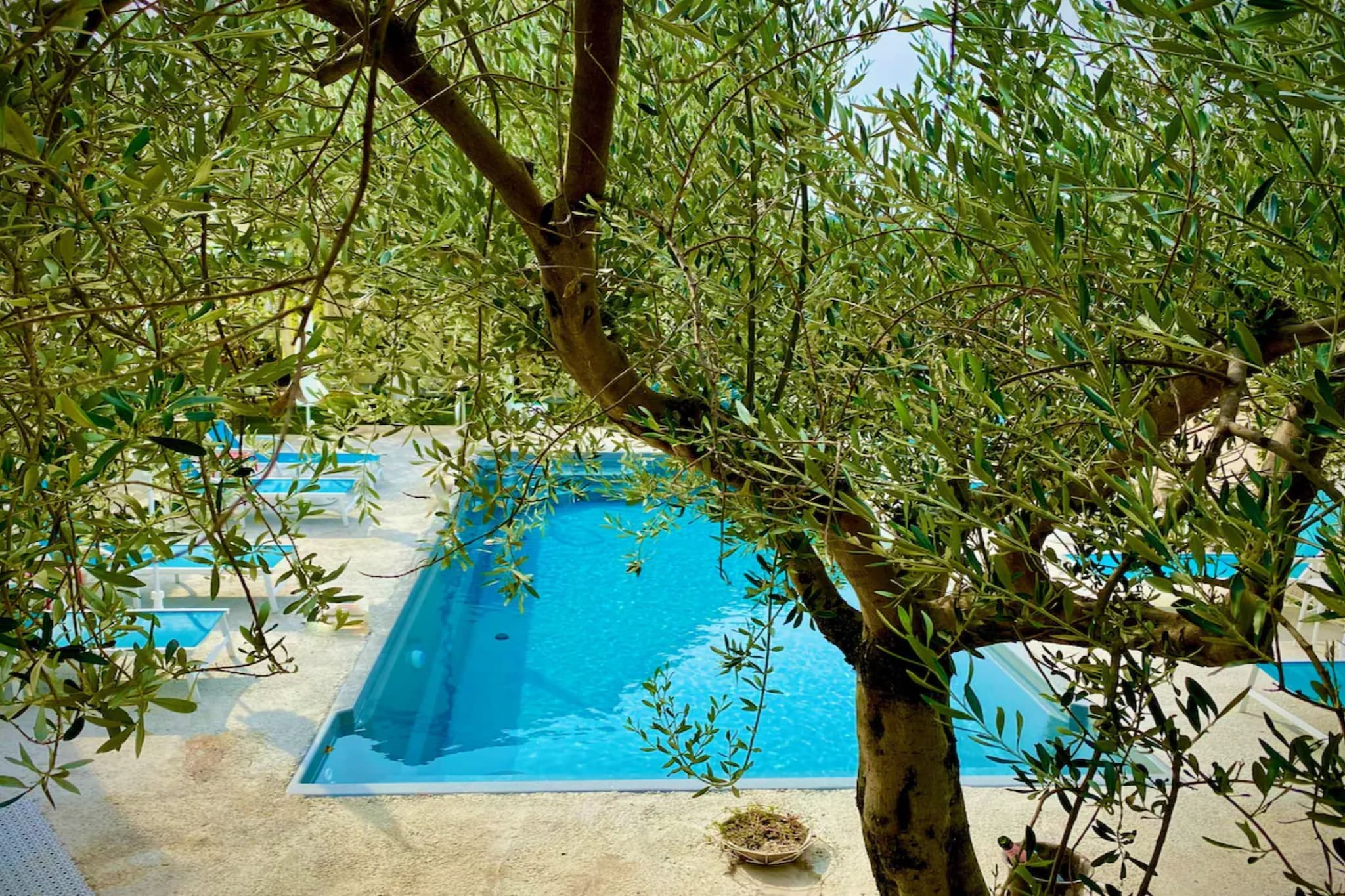 Villa Dube Slano Guest House - One Bedroom Apartment with Sea View and Terrace - Zwembad