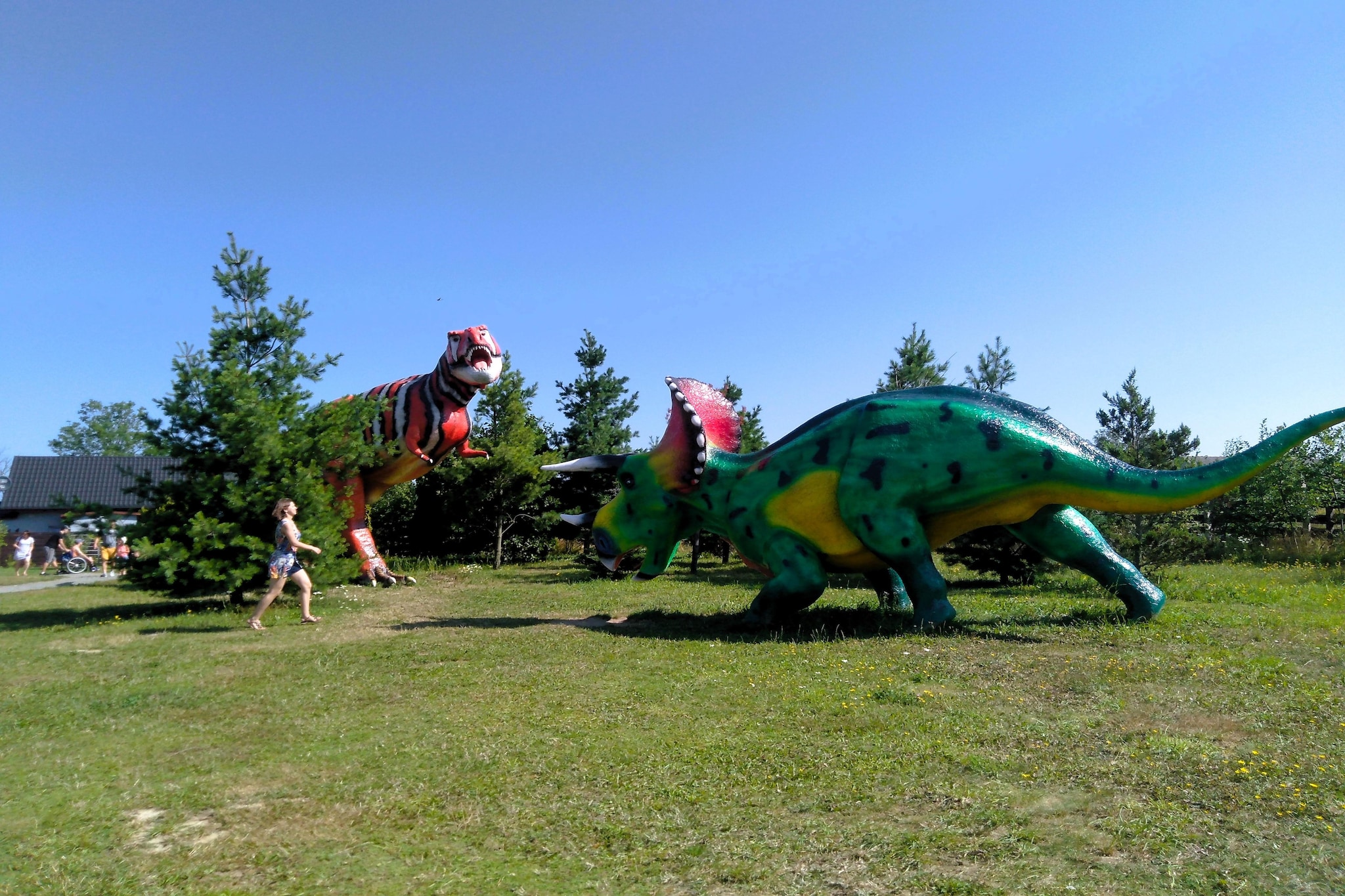 Area Summer5 K M