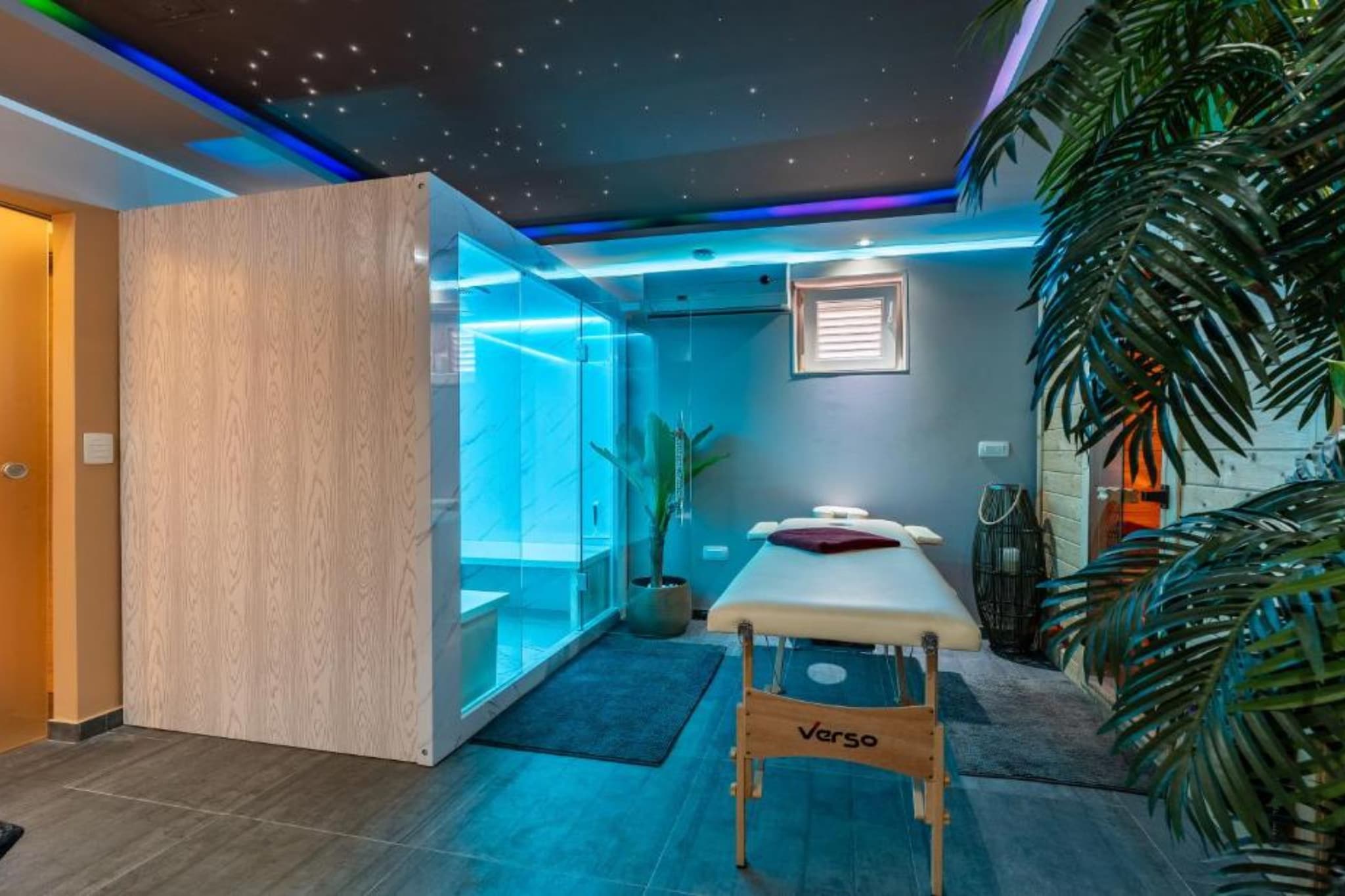 Bračić Premium Apartments with Outdoor Pool and Sauna - Studio Apartment  with Balcony - Sauna