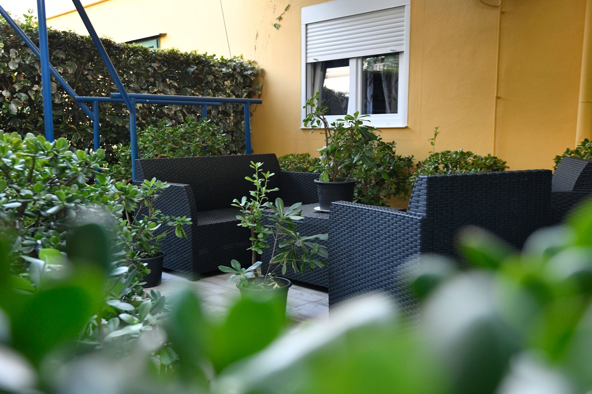 Apartment Dario With Terrace And BBQ