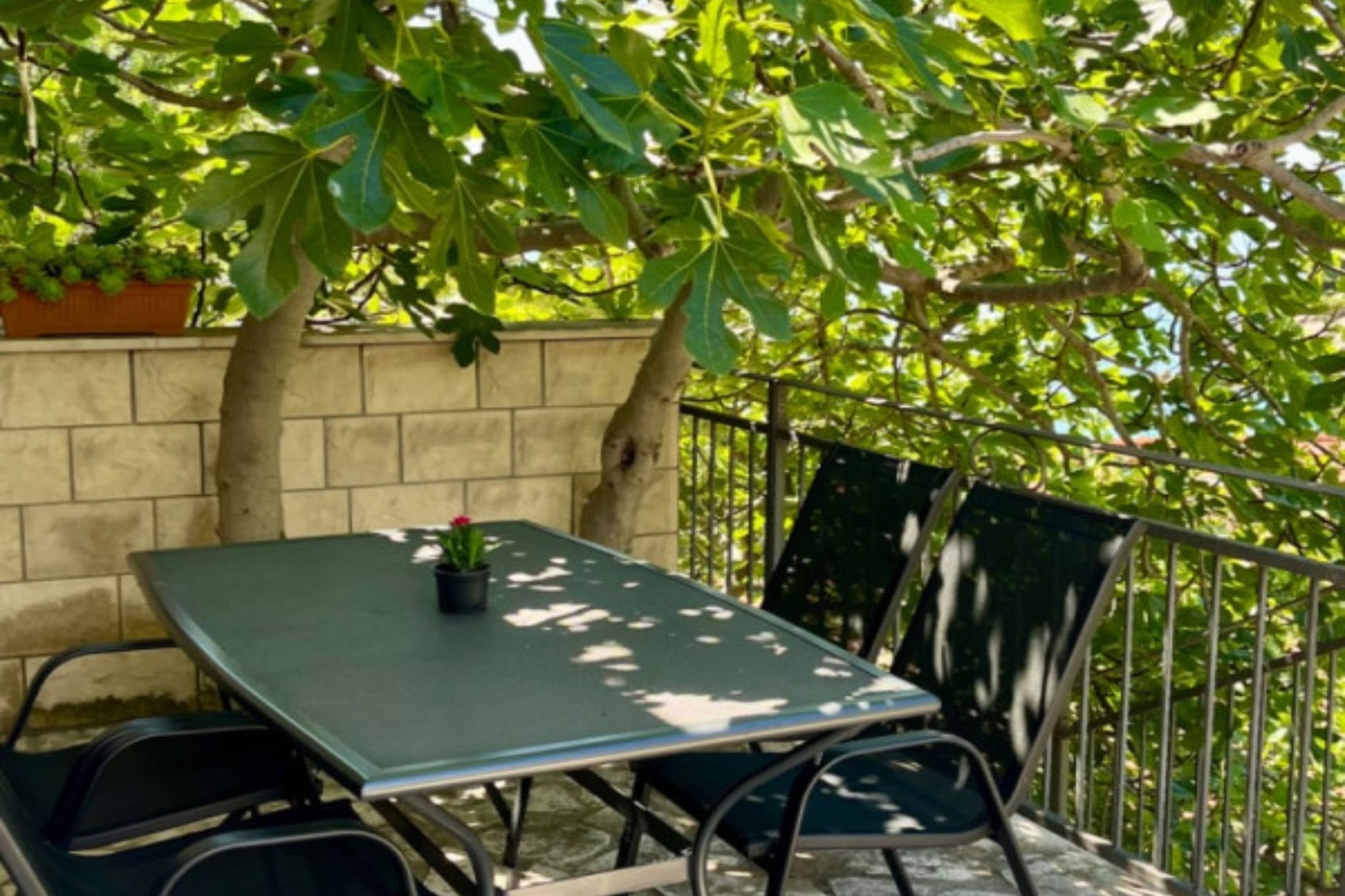 Paradise Apartments-Studio apartman with sea view and terrace 2 - Terrasse