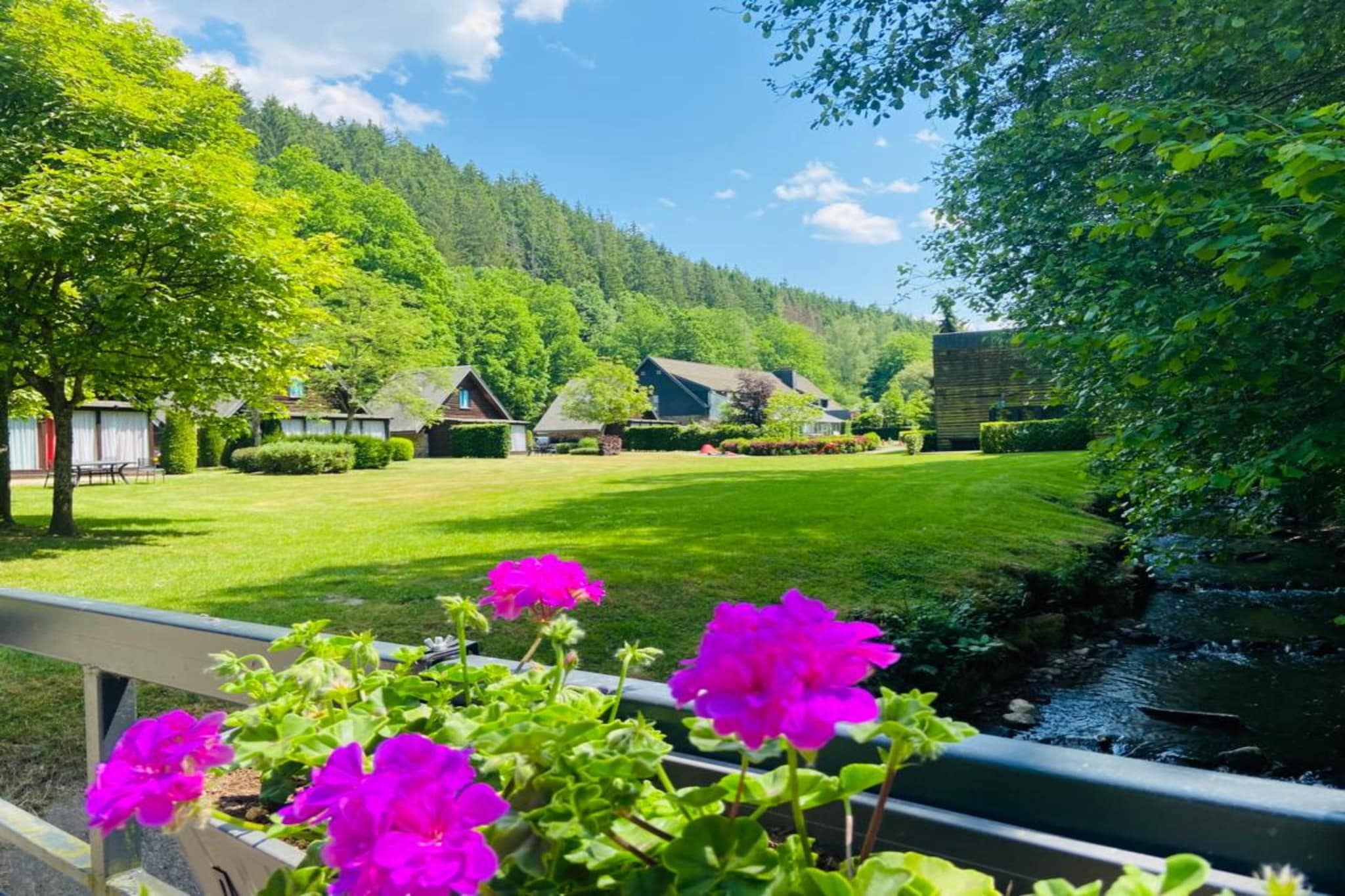 Garden Summer
