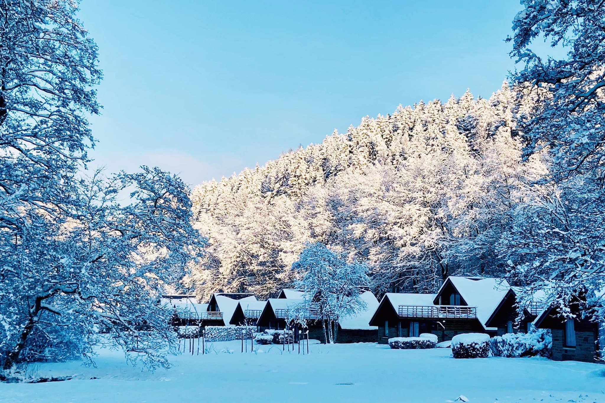 Cottage Famille-Extérieur hiver