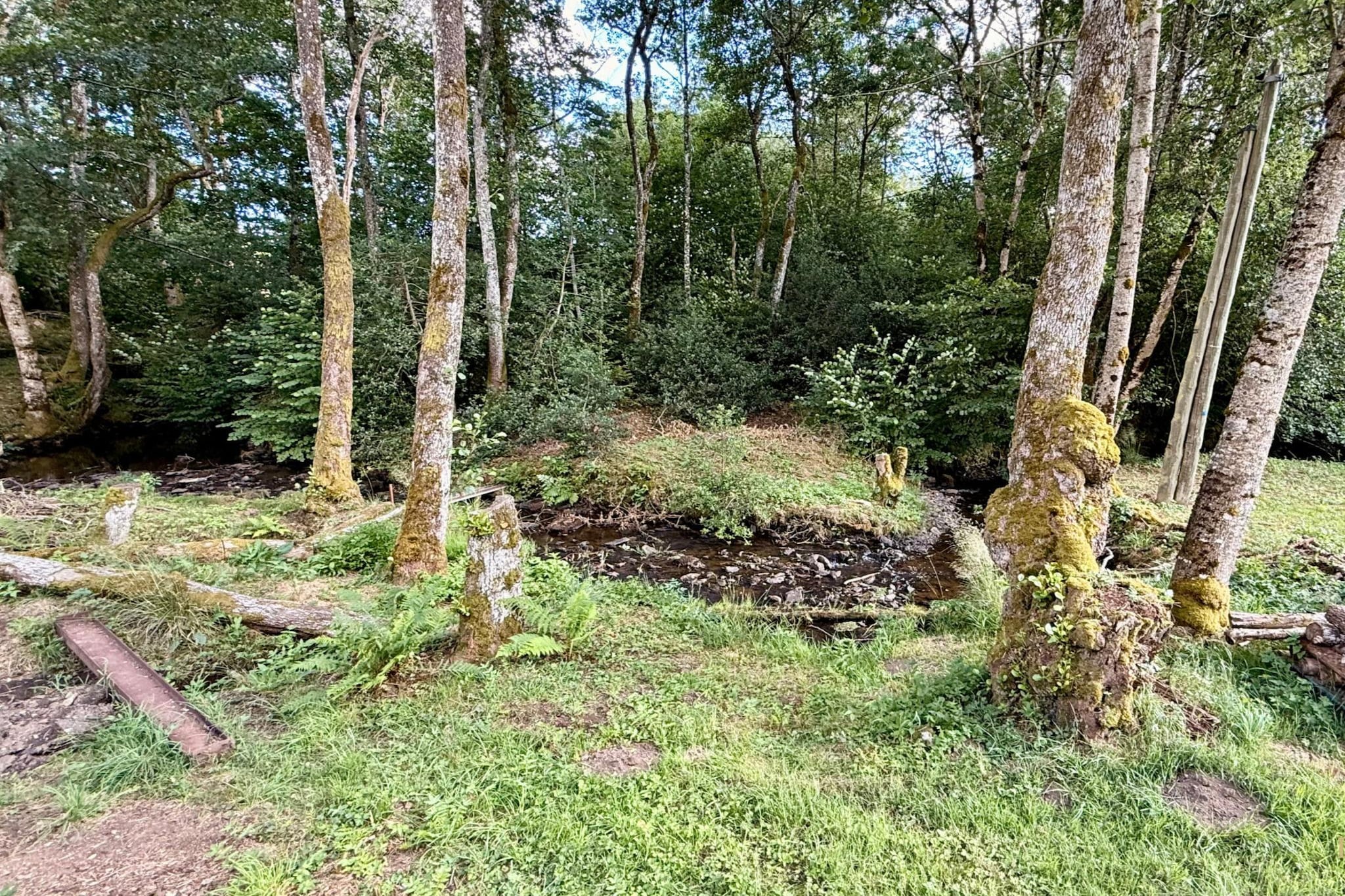 Le Moulin de l'étang 6pers - Gebieden zomer 1km