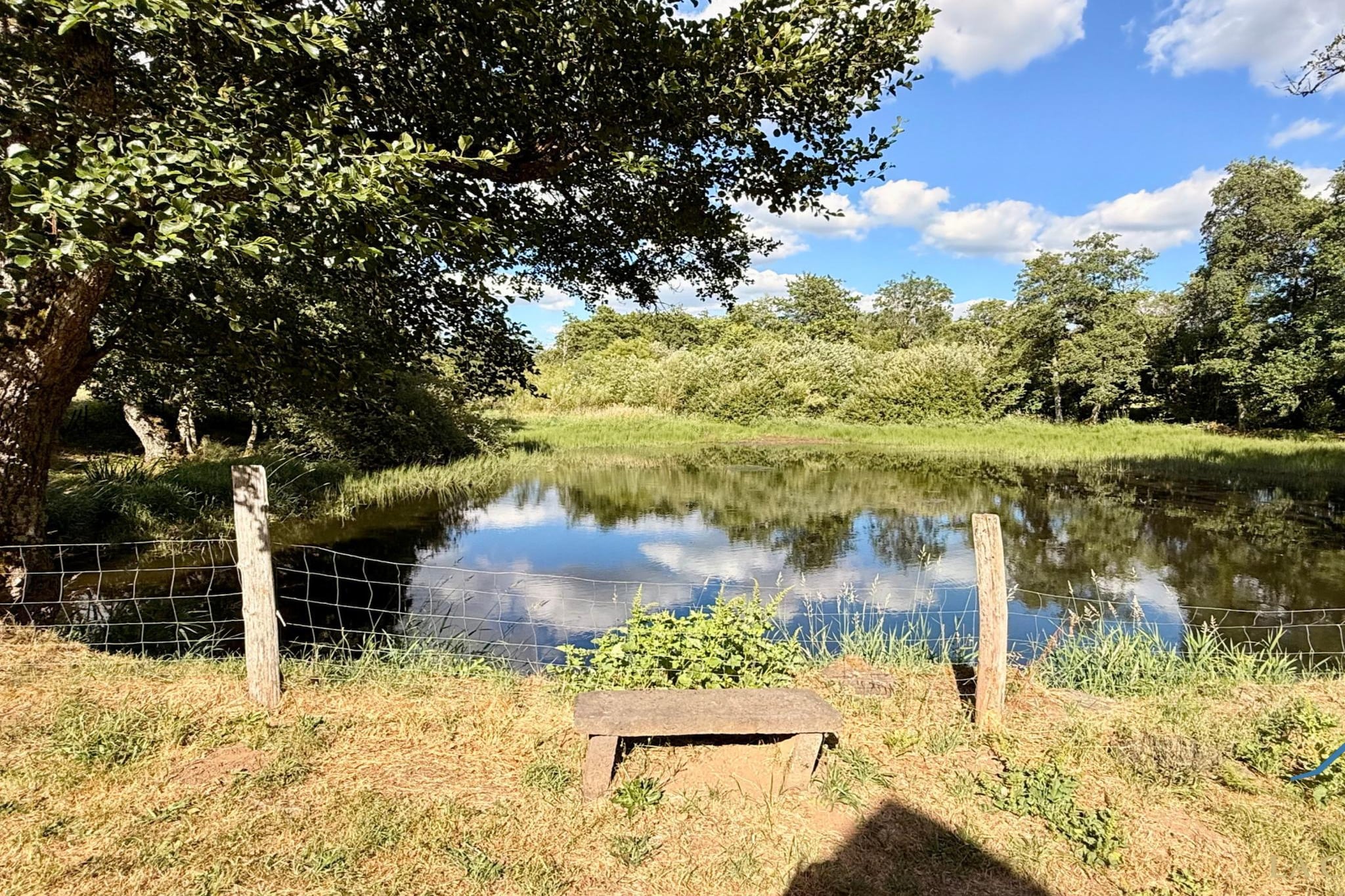 Le Moulin de l'étang 6pers - Gebieden zomer 1km