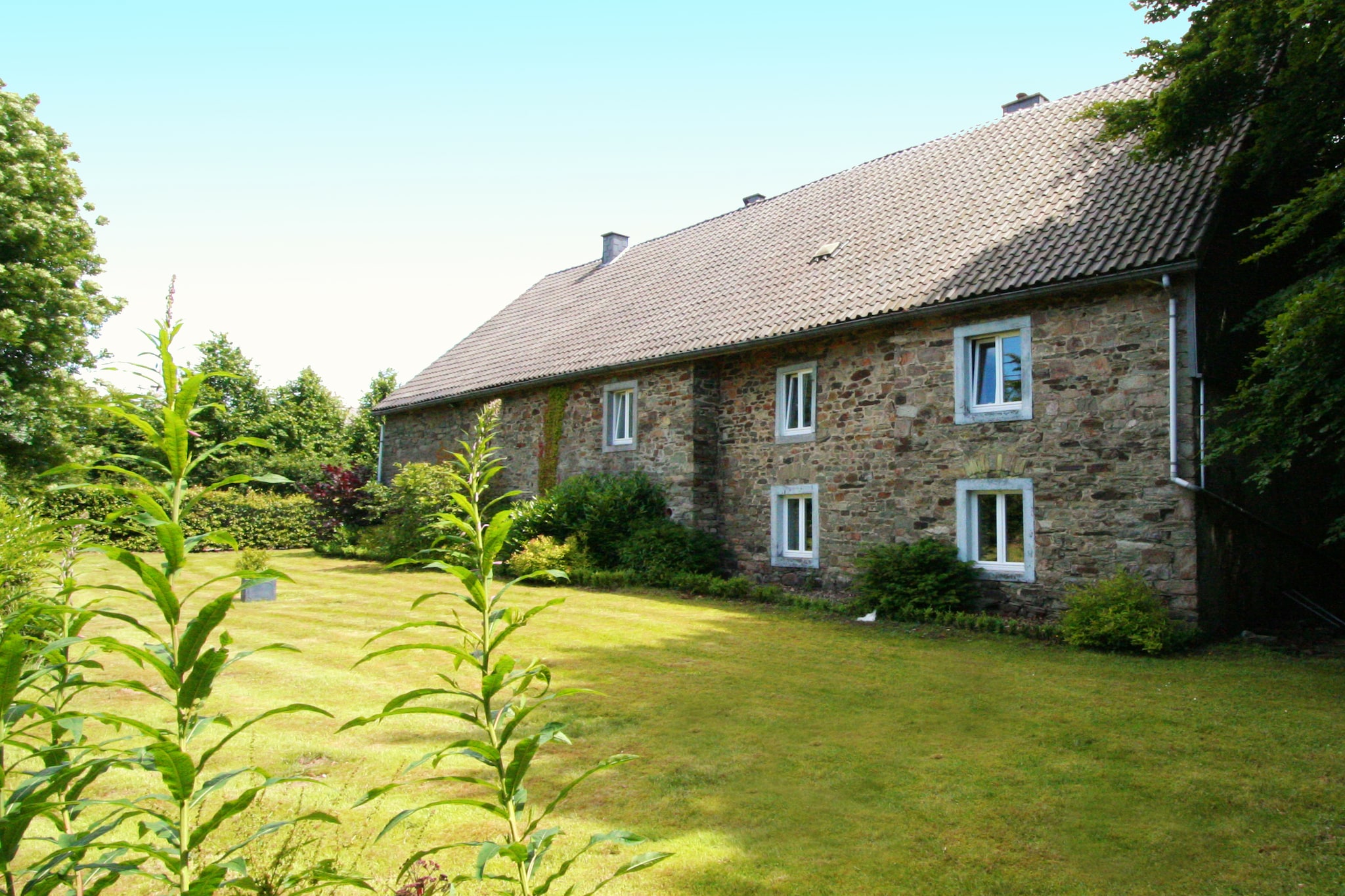 Domaine des Bouts de Fagnes-Buitenkant zomer