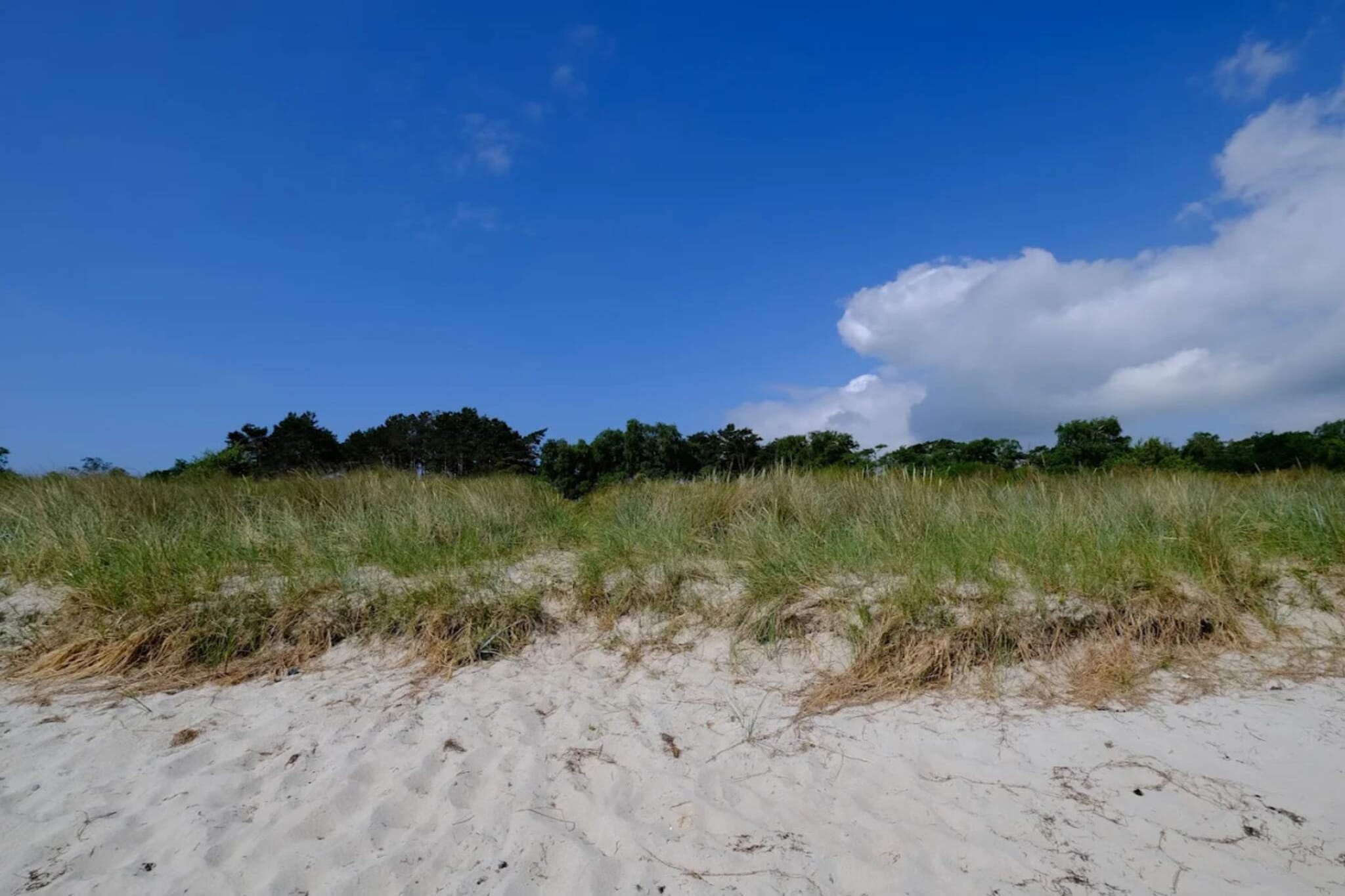 4 star holiday home in Væggerløse - Outdoor