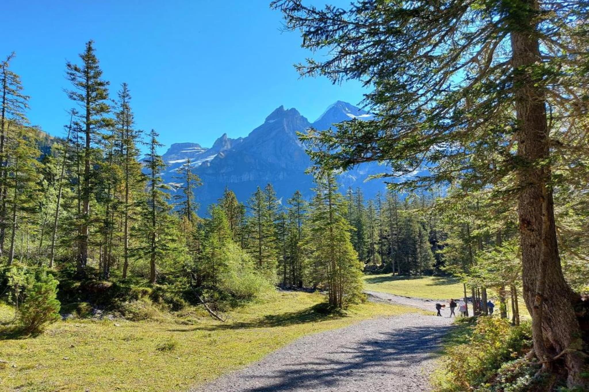 Stöckli-Gebieden zomer 20km