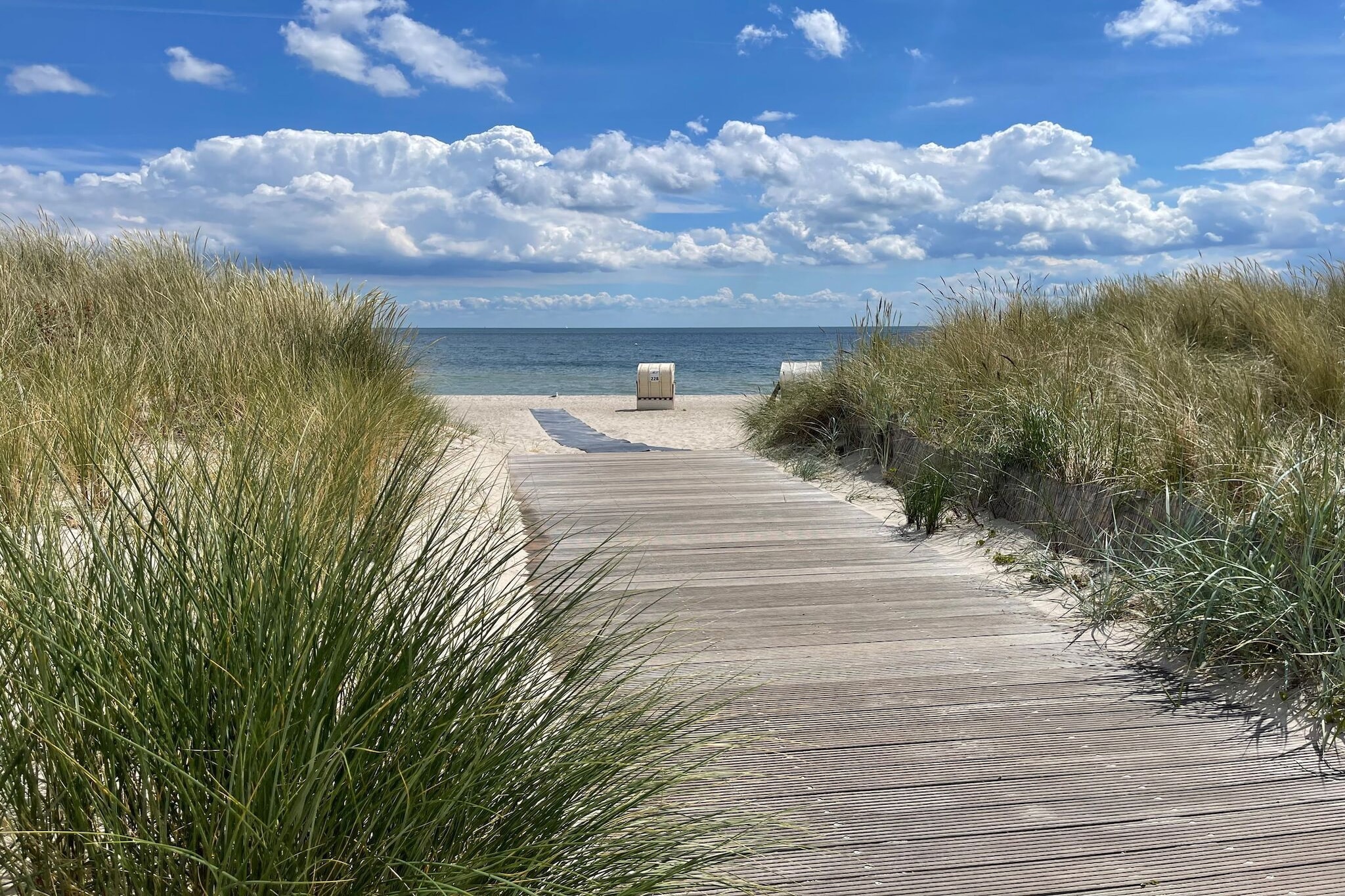 Holiday Vital Resort Ferienhaus 7 - Gebieden zomer 5km