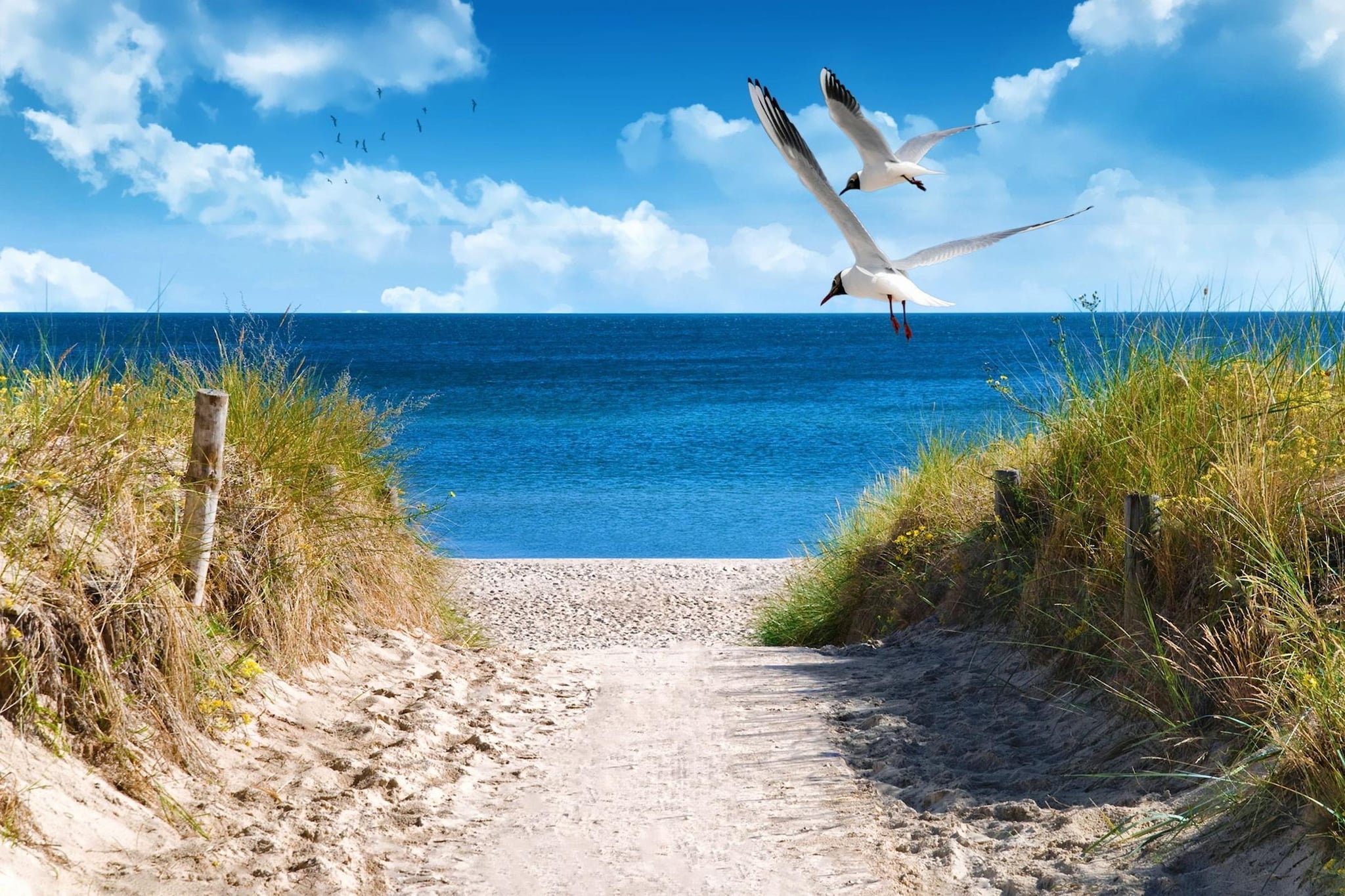 Holiday Vital Resort Ferienhaus 115 - Gebieden zomer 5km