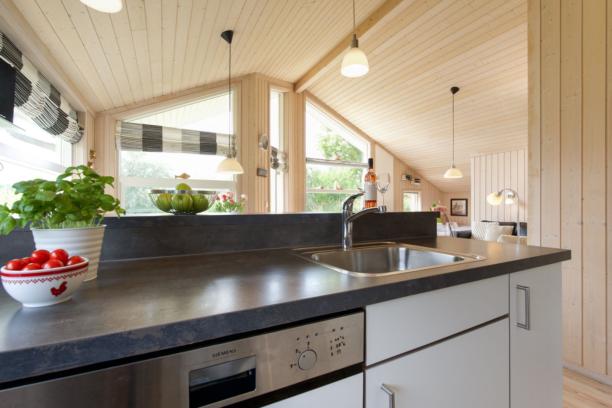 Holiday Vital Resort Ferienhaus 2 - Keuken