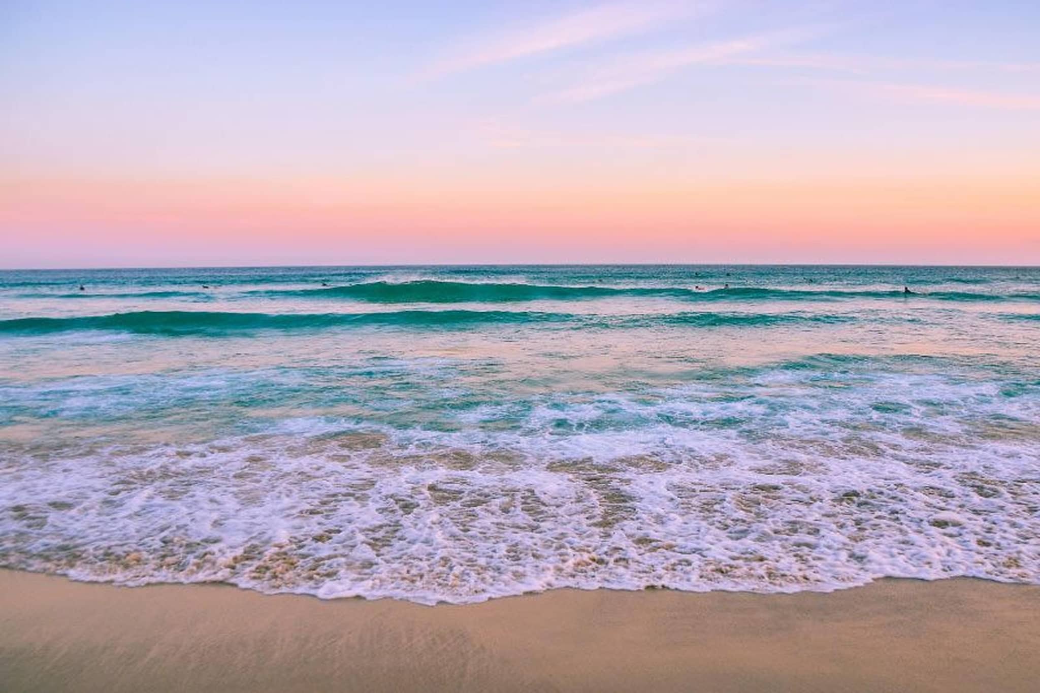 Las Adelfas - Ambiente