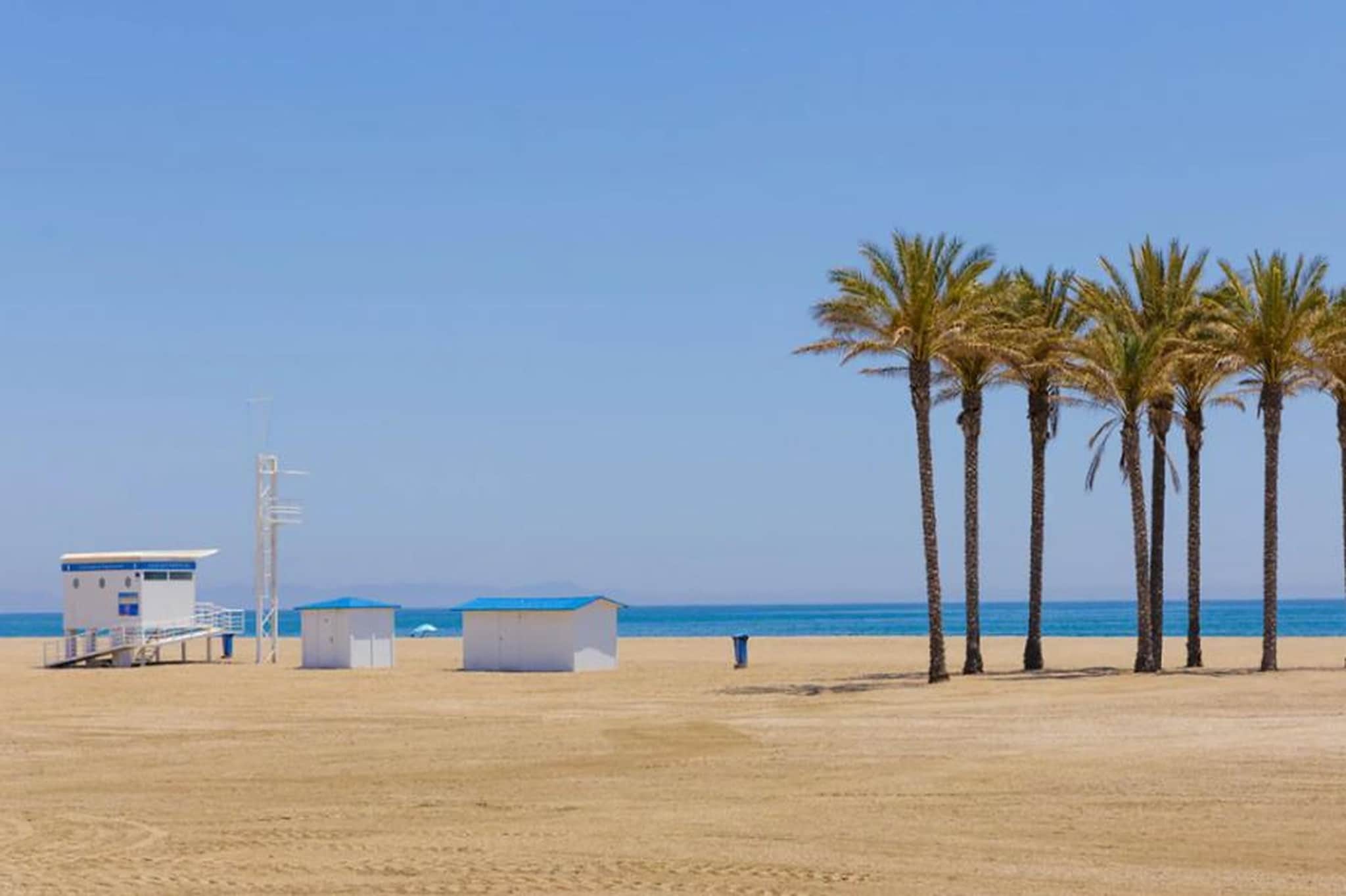 Las Adelfas - Ambiente