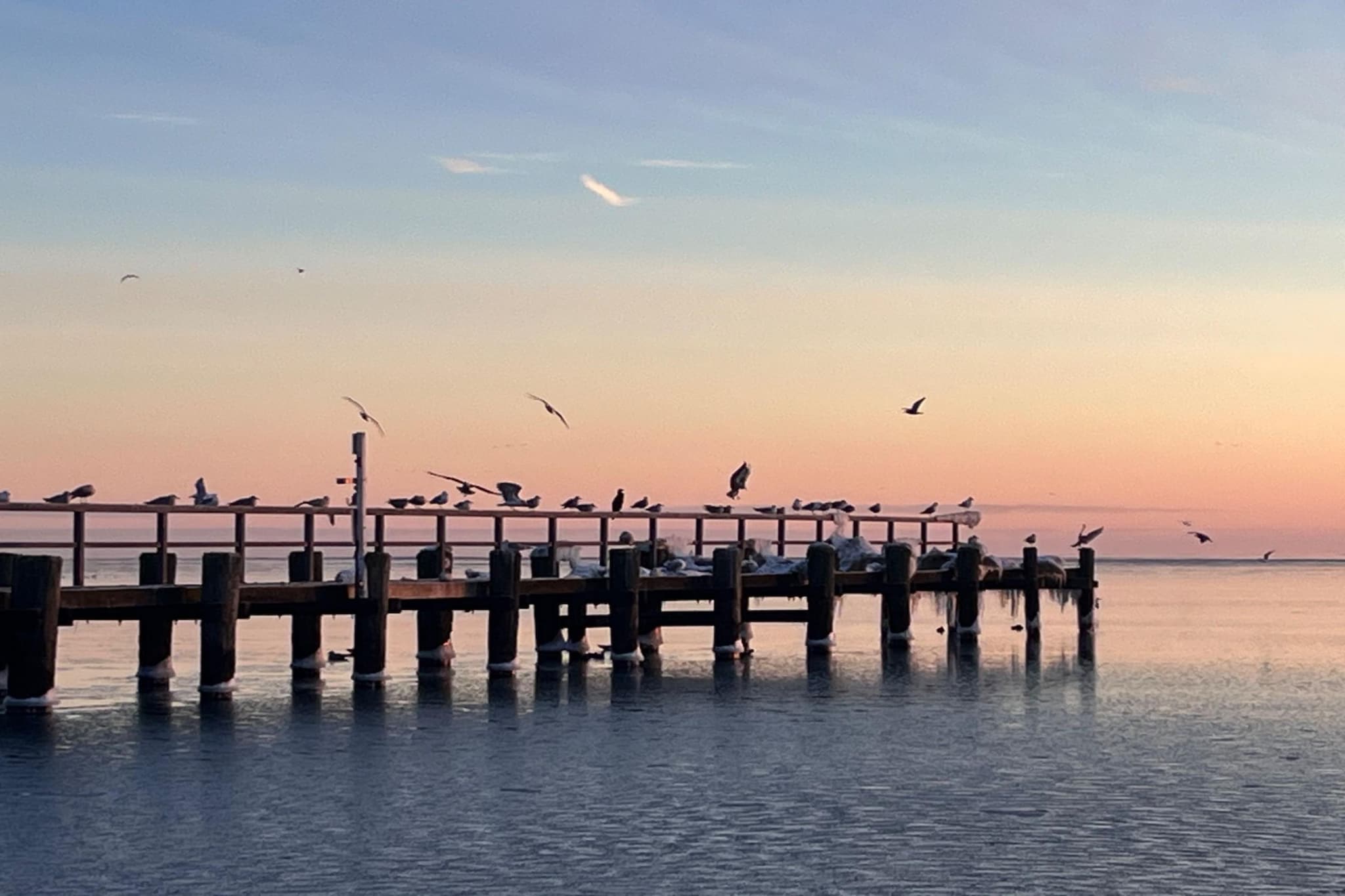 Godewindpark Travemünde Exklusivsuite 3.09 mit Strandkorb am Strand - Gebieden zomer 1km