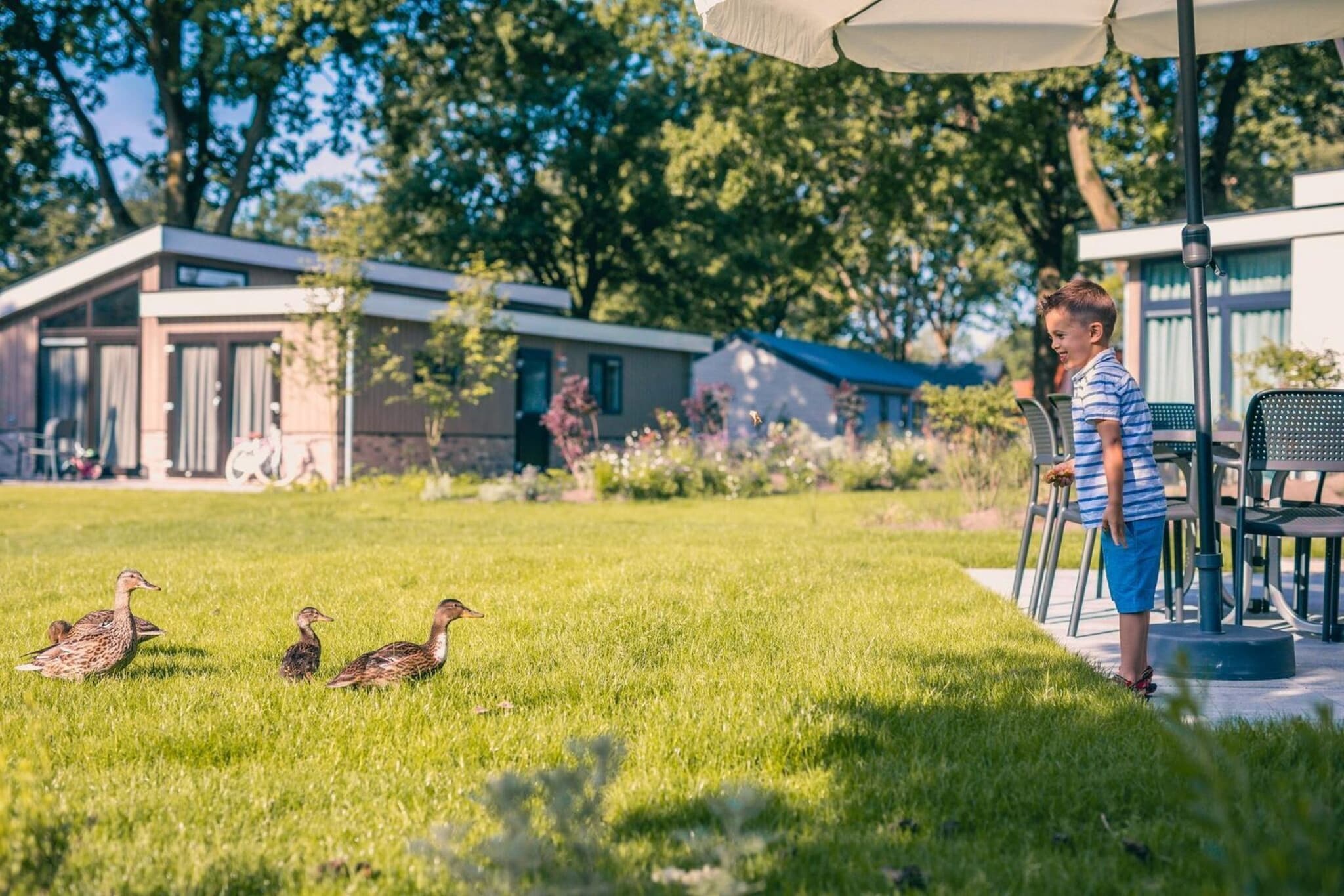 Berkel 4 - Garten Sommer