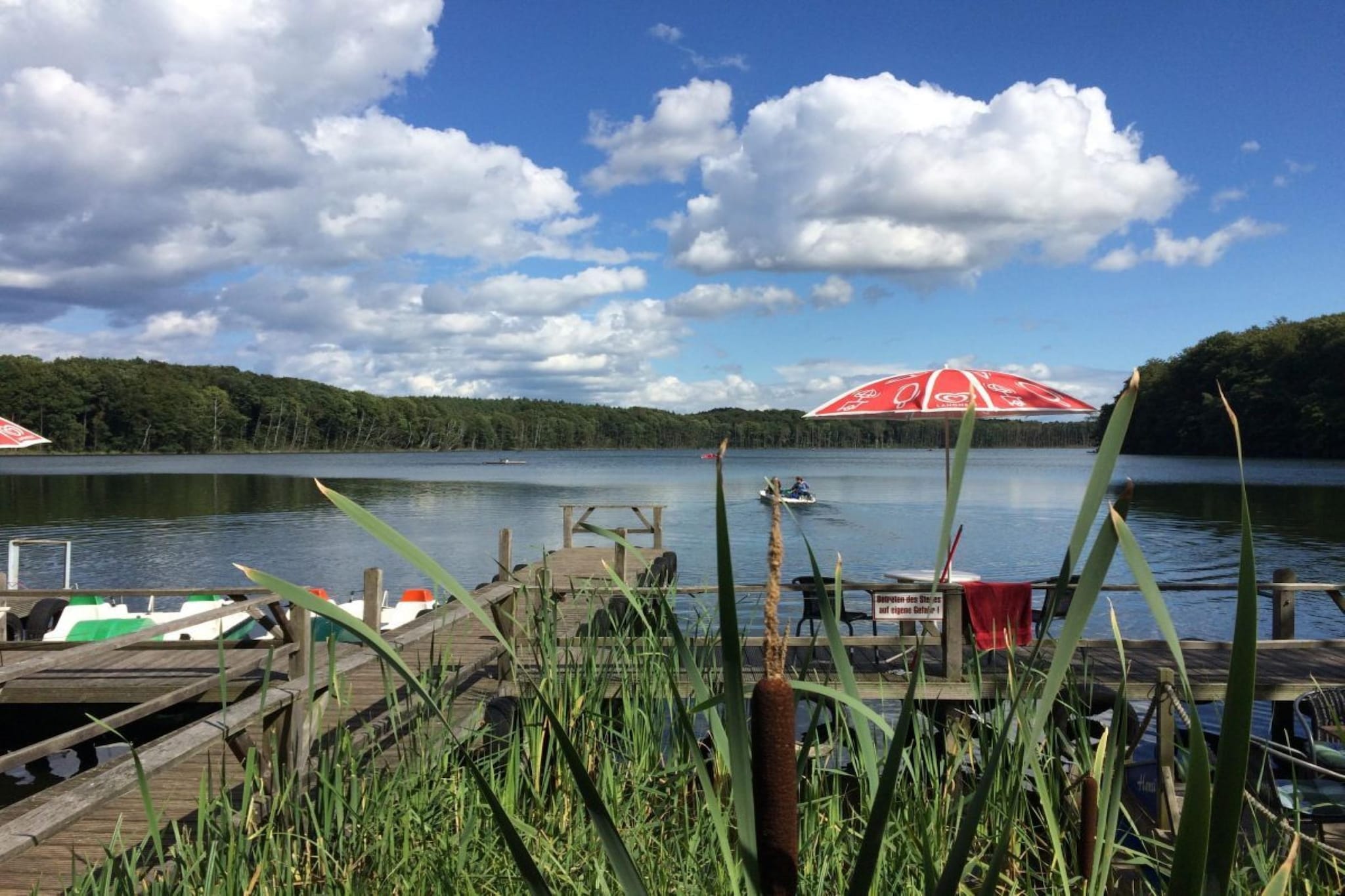 Meine kleine Sansibar 1 - Gebieden zomer 1km