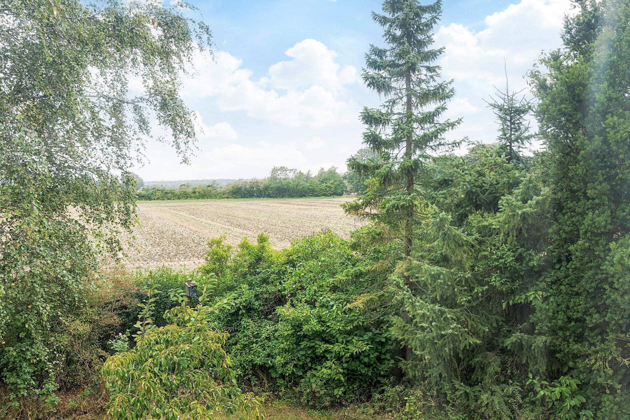 6 Personen vakantie huis in Stokkemarke - Uitzicht