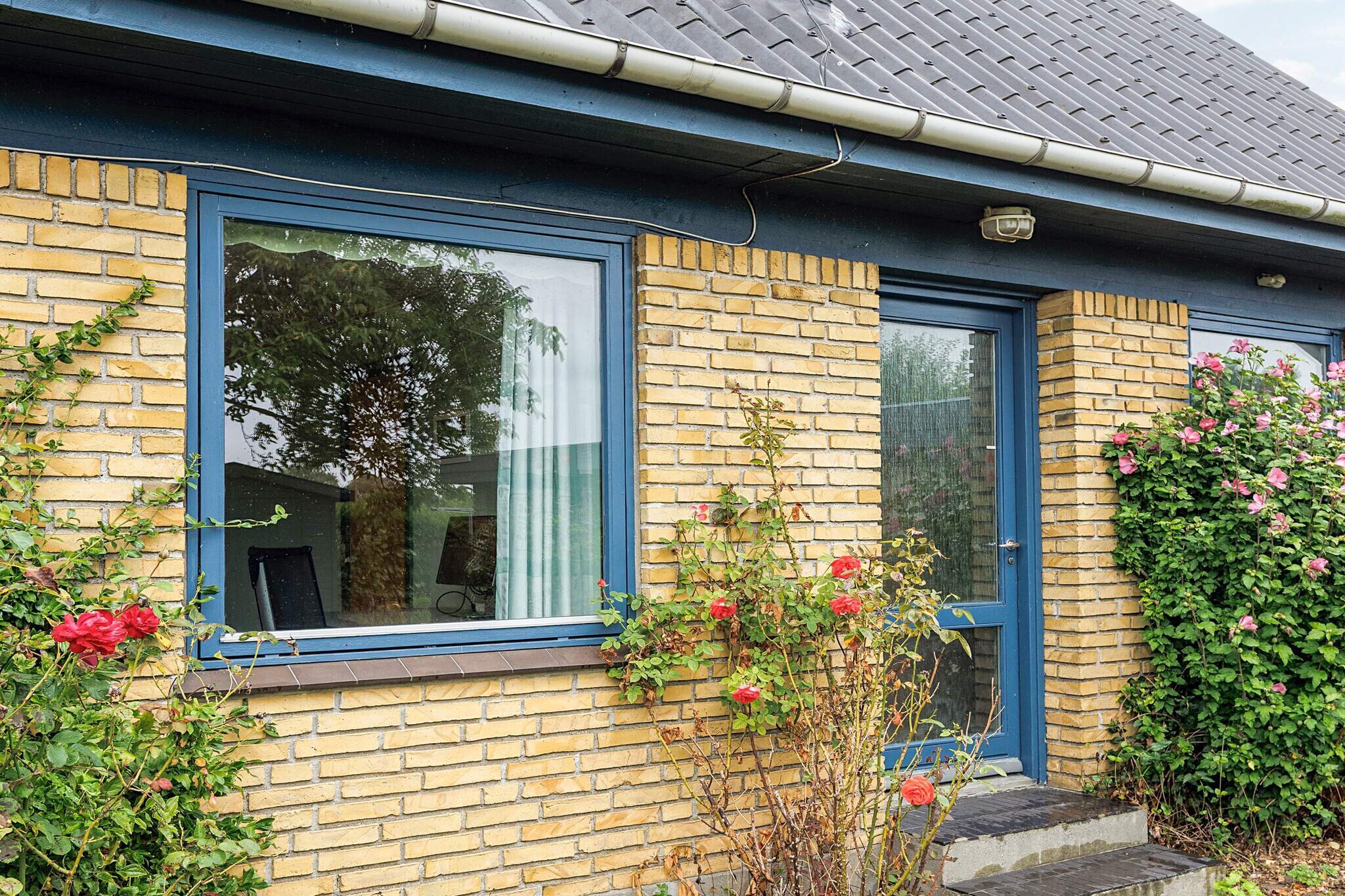 6 Personen vakantie huis in Stokkemarke - Uitzicht
