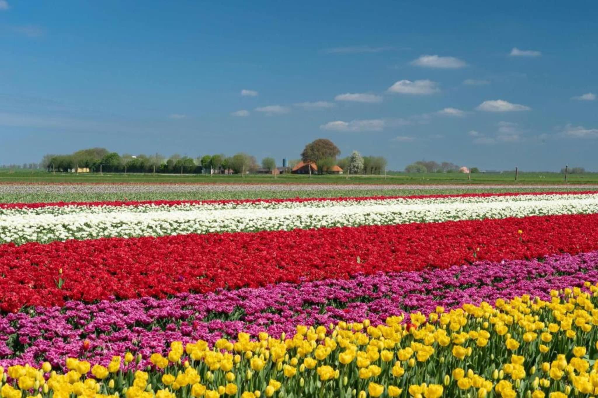 Vakantiepark Eigen Wijze 1-Gebieden zomer 20km