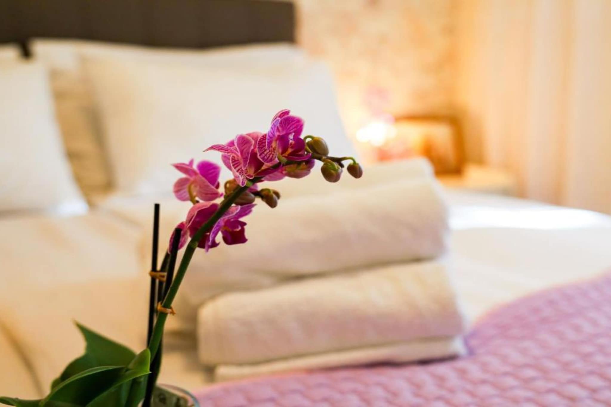 Franov Butique Residence - One bedroom apartment (with sea view (Ana) - Chambre