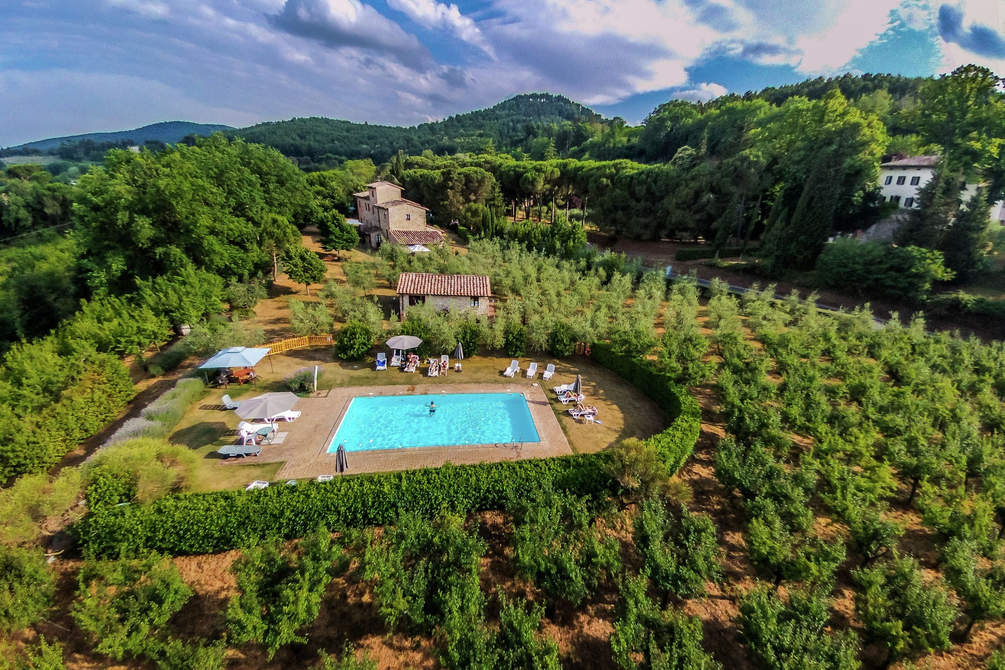 Agriturismo met zwembad en privé terras tusen fruitbomen en olijfgaard