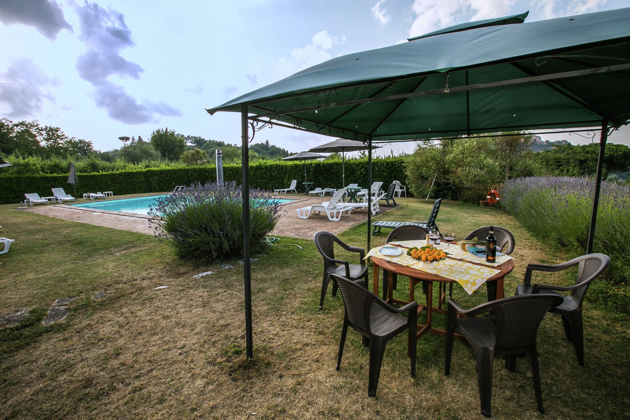 Farmhouse with pool and private terrace, between fruit trees and olive grove