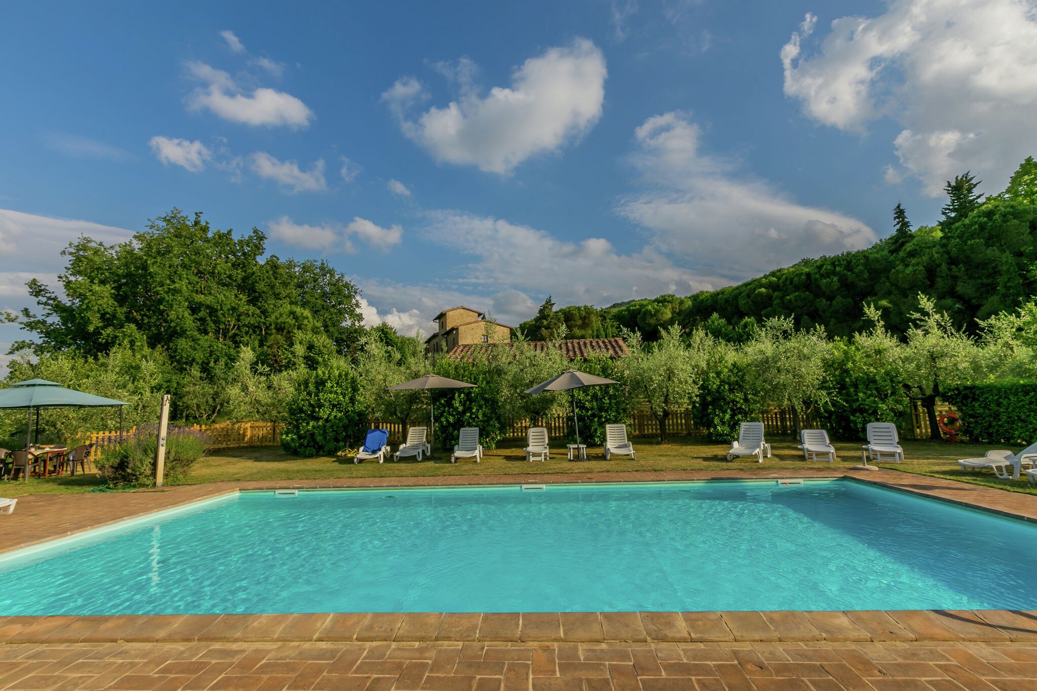 Farmhouse with pool and private terrace, between fruit trees and olive grove