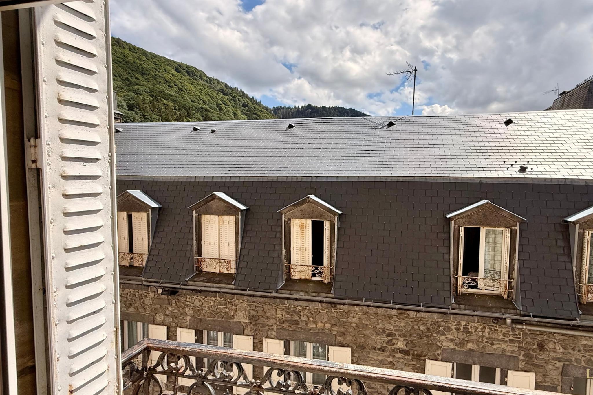 Le Sarciron 299 Le Mont Dore 2/4pers - Uitzicht zomer