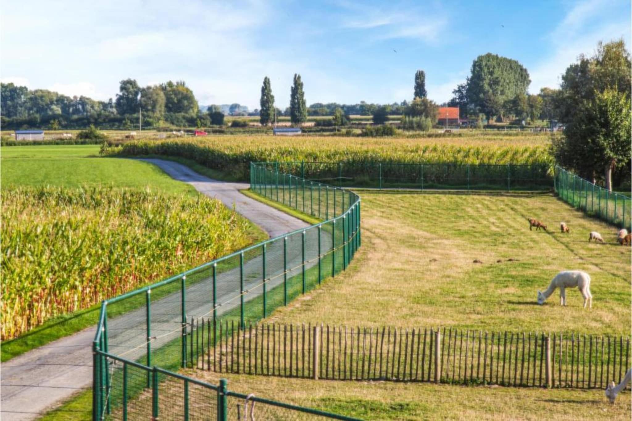 St Antoine-Gebieden zomer 20km
