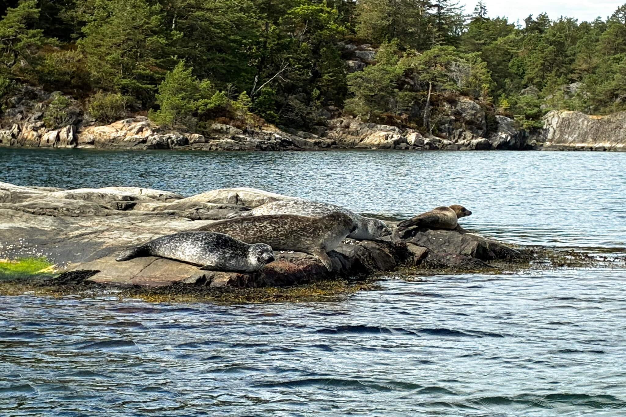 Maison de vacances pour 9 a TVEDESTRAND - Non tagué