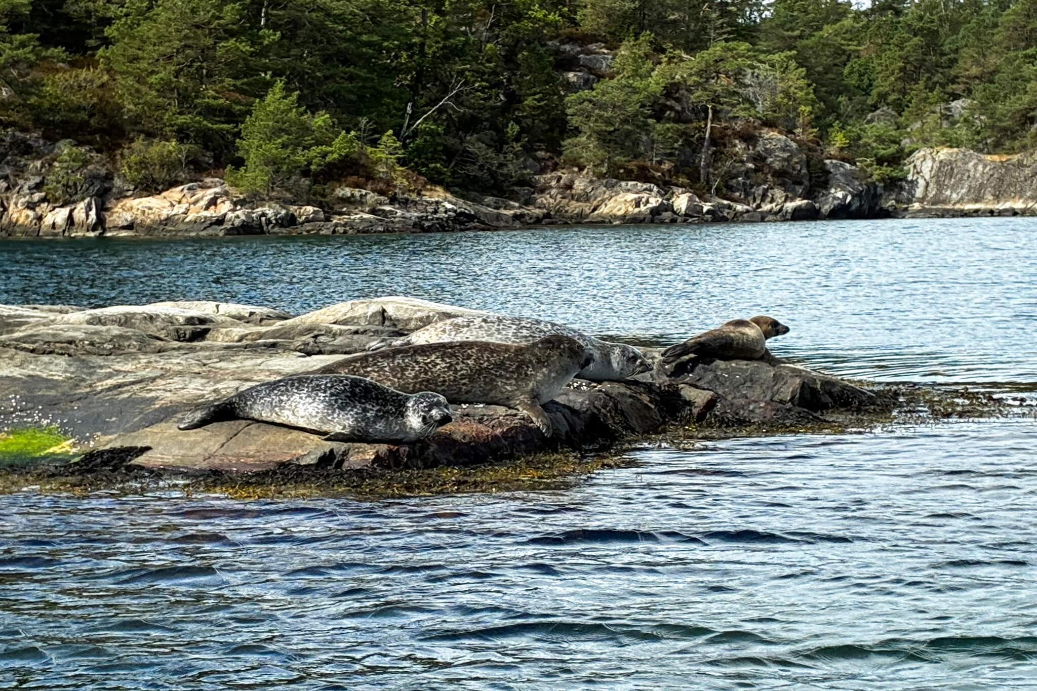 Maison de vacances pour 9 a TVEDESTRAND - Non tagué
