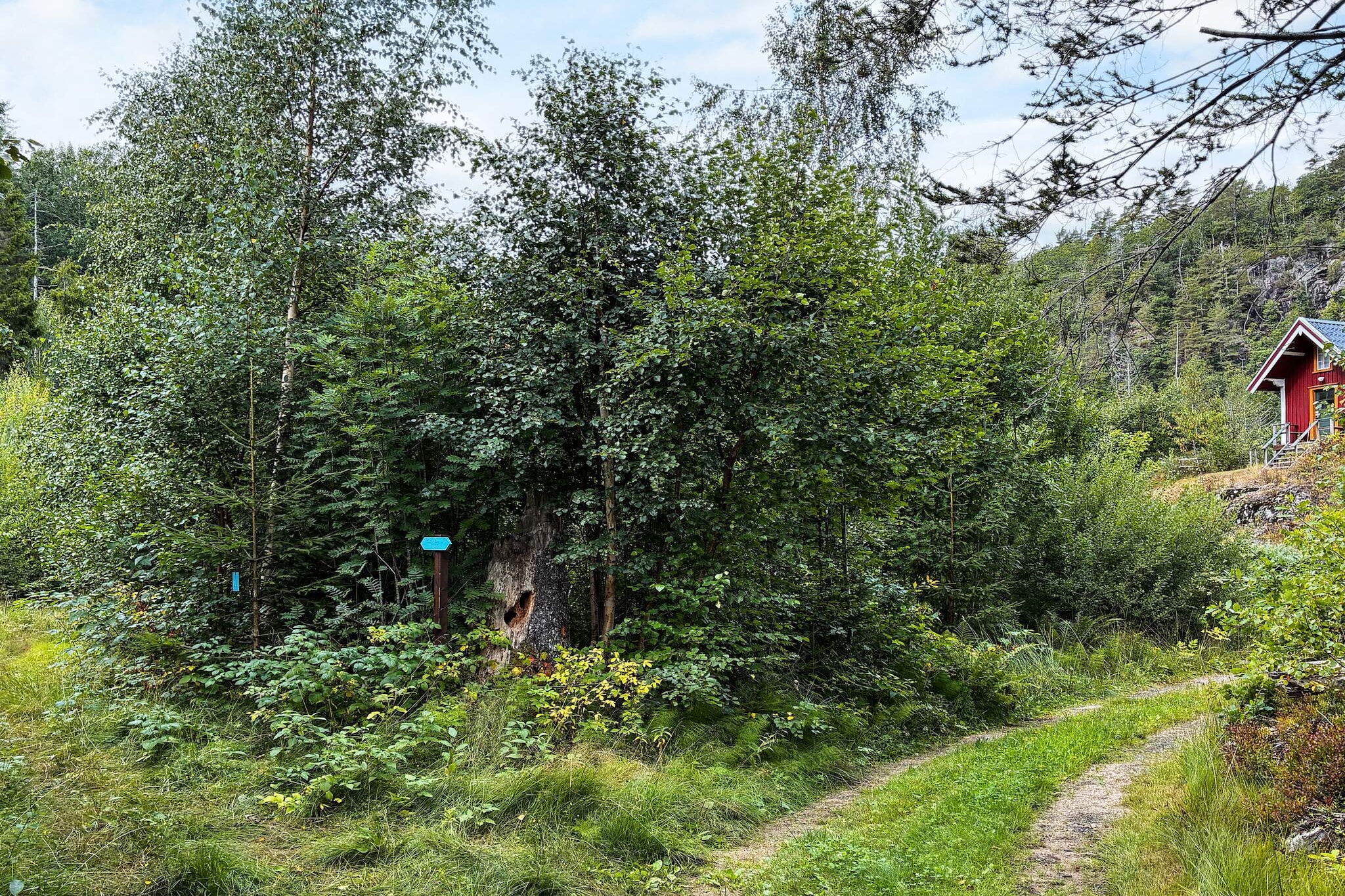 Maison de vacances pour 9 a TVEDESTRAND - Non tagué