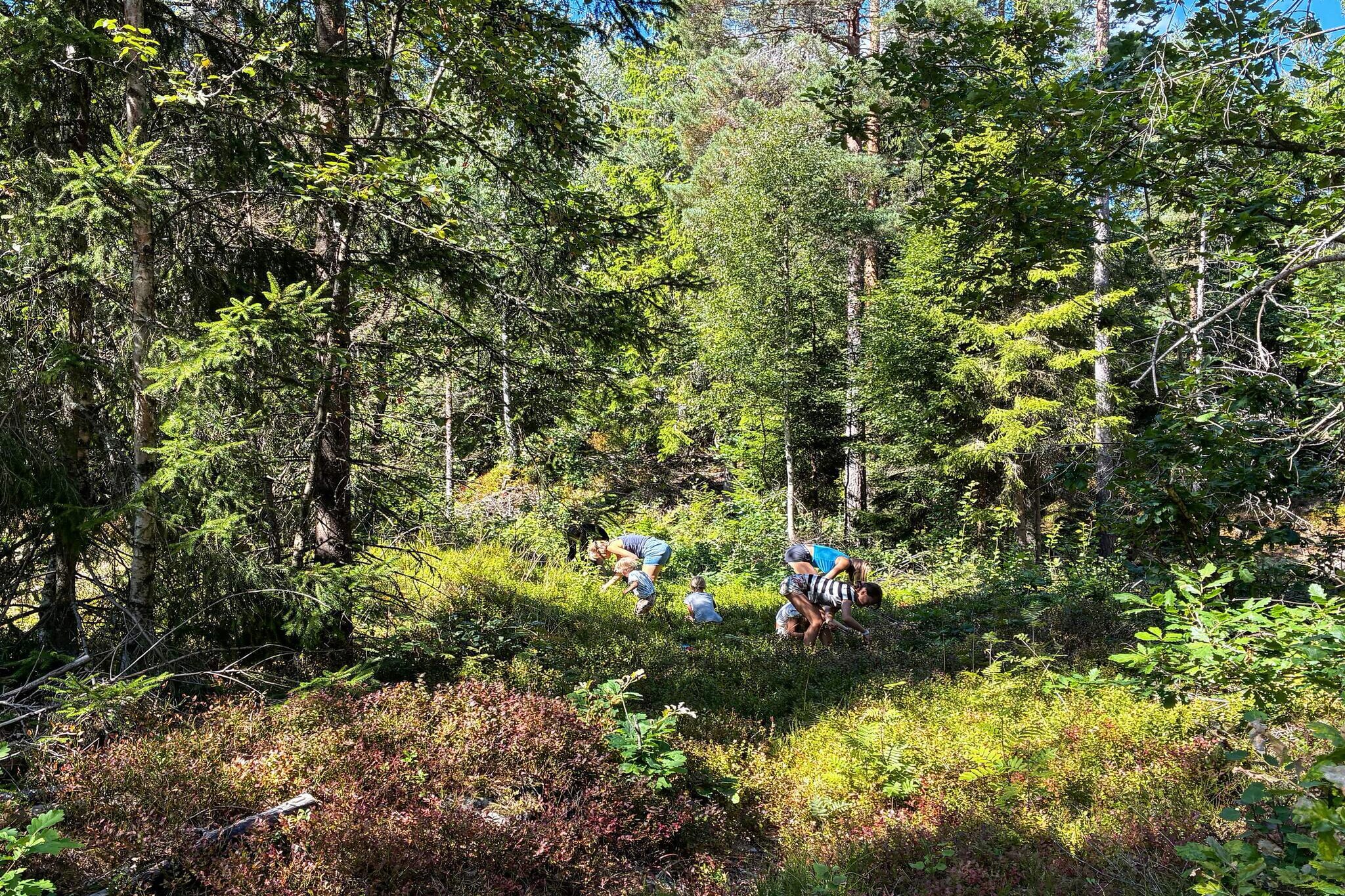 Maison de vacances pour 9 a TVEDESTRAND - Non tagué