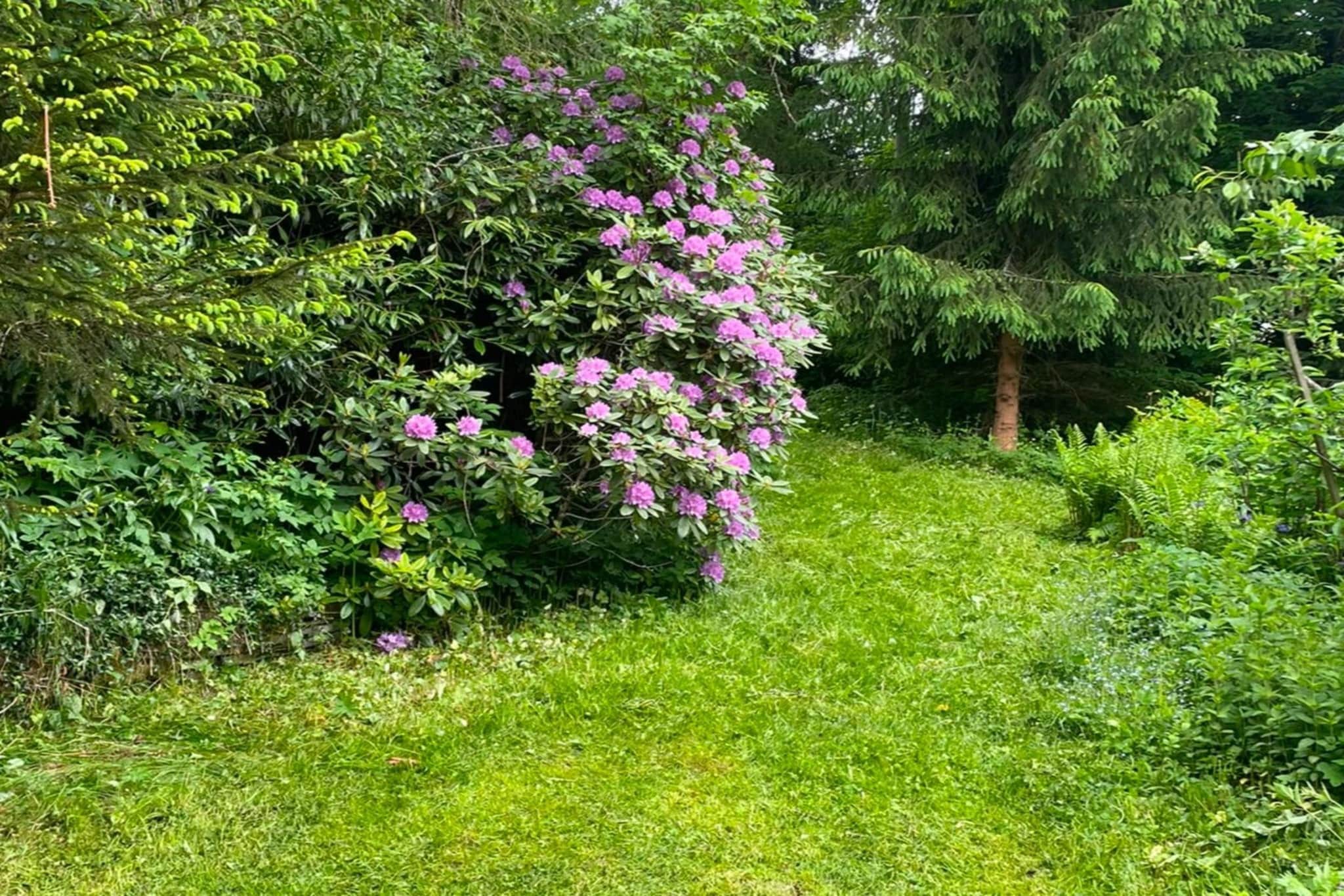 Haus Onel 1 - Tuinen zomer