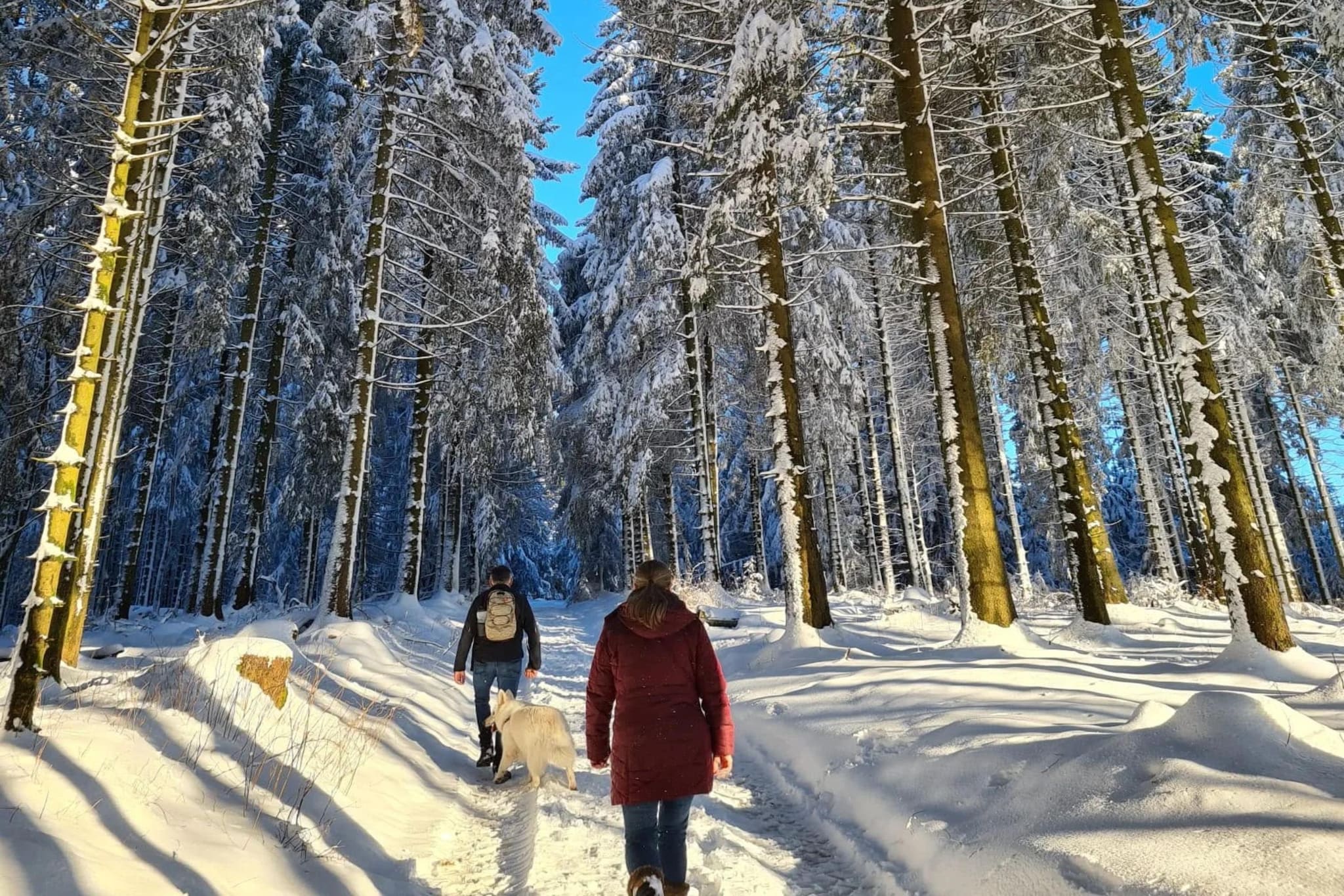 Jachthaus am Rappelstein - Gebied winter 5km