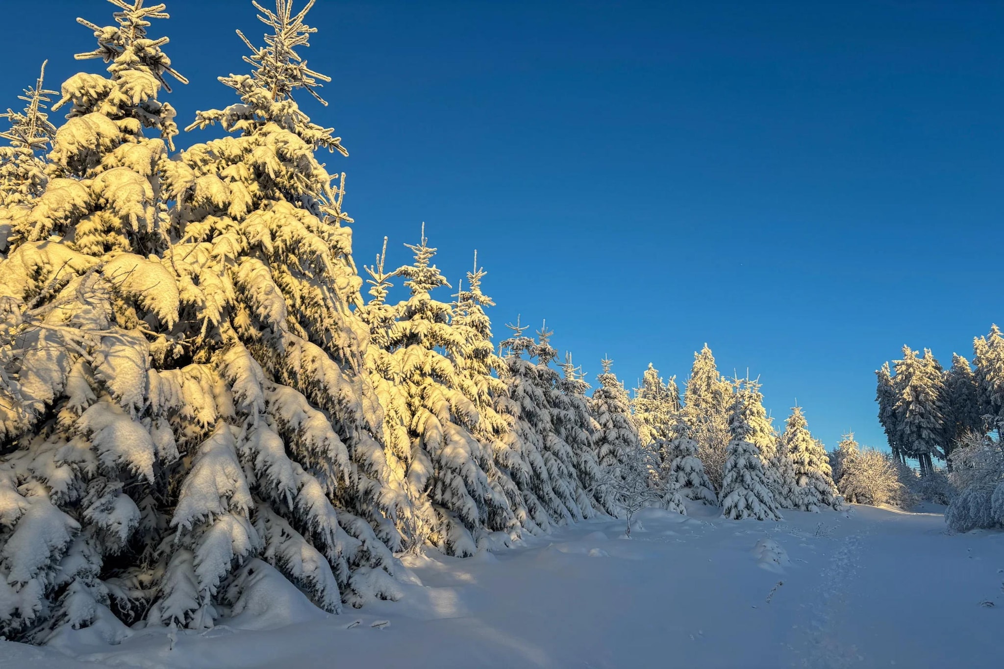 Ferienhaus Petri Winterberg-Niedersfeld - Area within 5km in winter