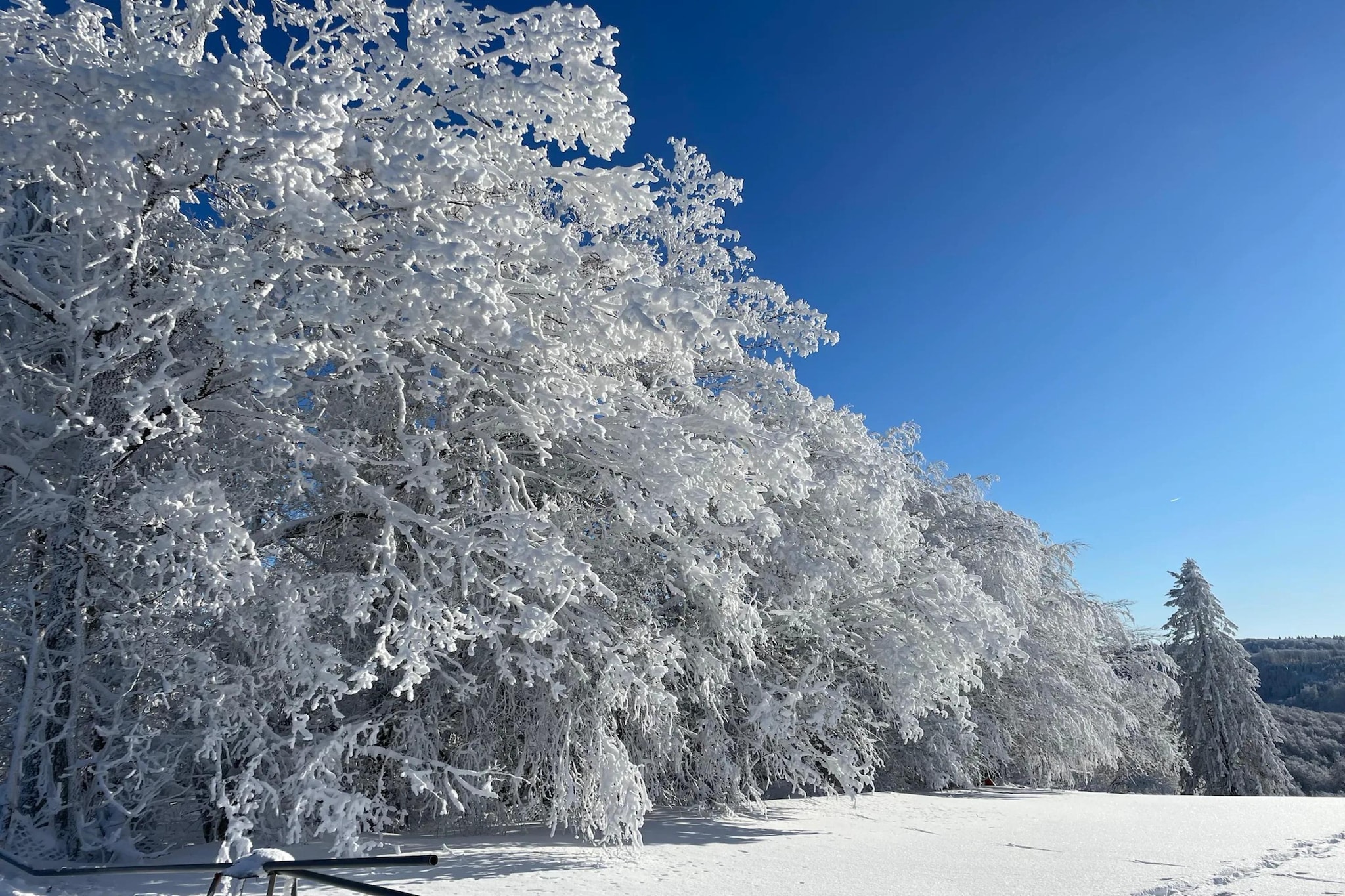 Ferienhaus Petri Winterberg-Niedersfeld - Area within 5km in winter