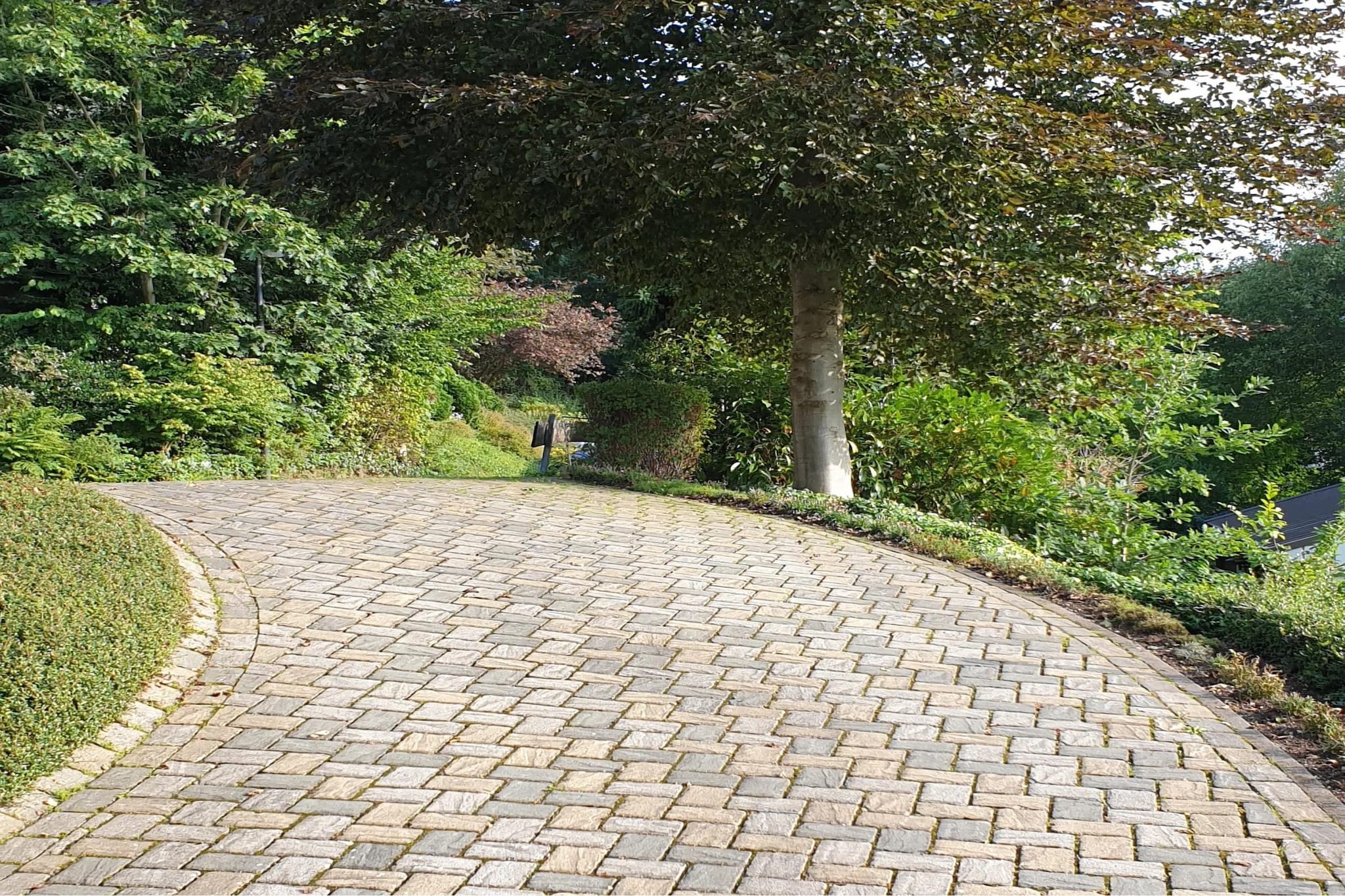 Ferienhaus Petri Winterberg-Niedersfeld - Areas within 5km in summer