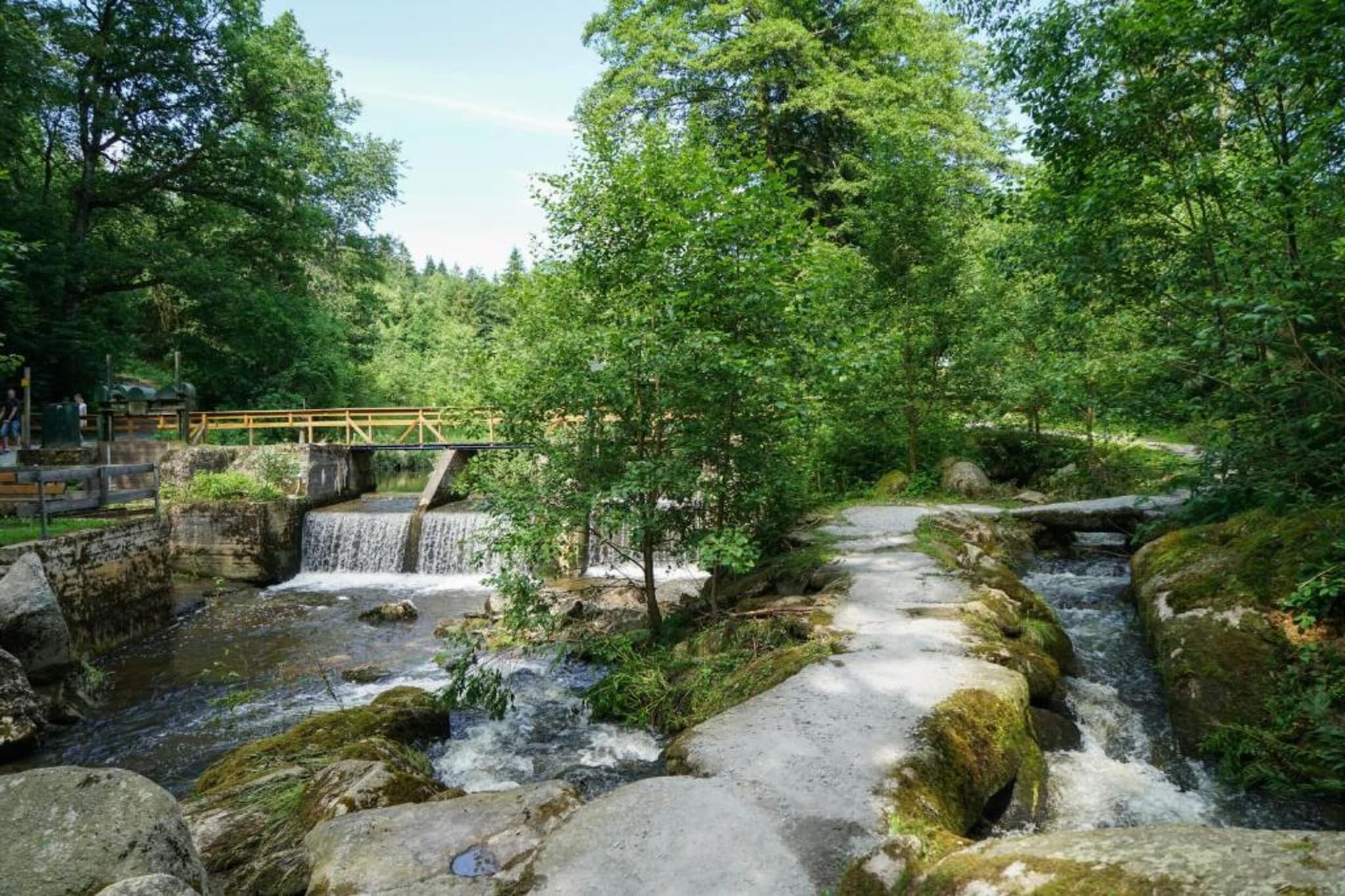 Vakantiepark Jägerwiesen 3-Gebiete Sommer 20 km