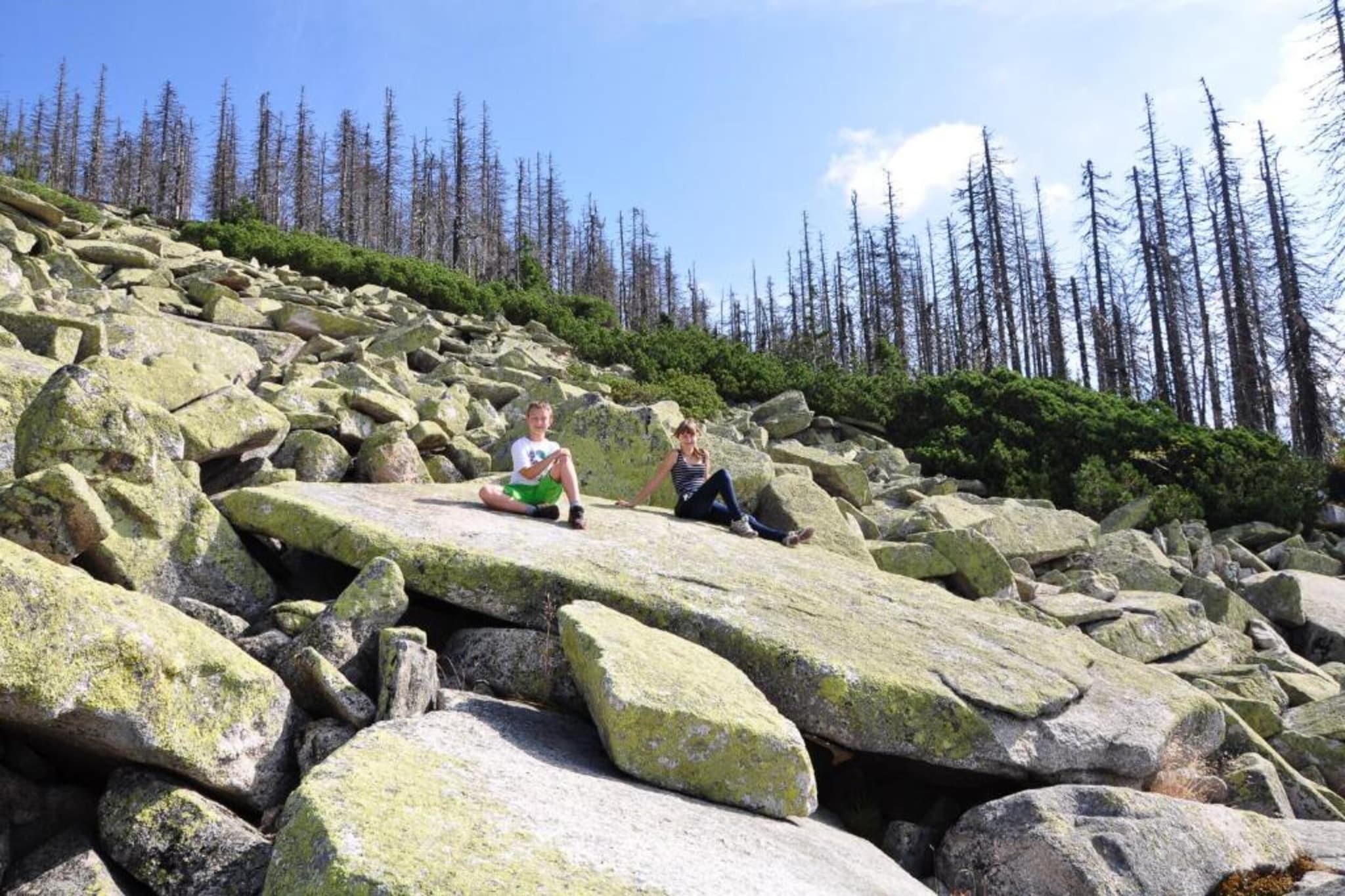 Vakantiepark Jägerwiesen 3-Gebiete Sommer 20 km