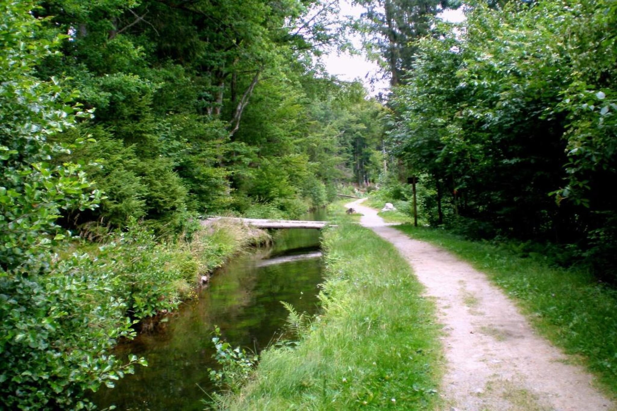 Vakantiepark Jägerwiesen 3-Gebiete Sommer 20 km