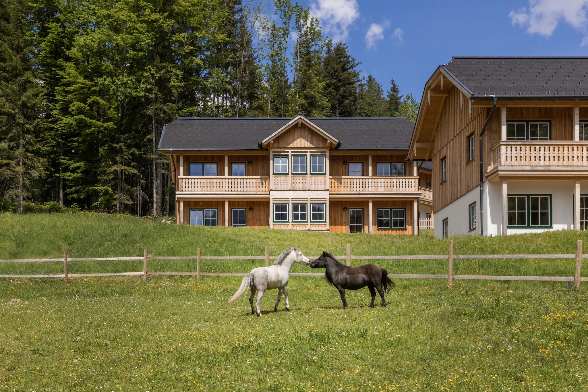 Haus Toplitzsee 2 - Ausstattung