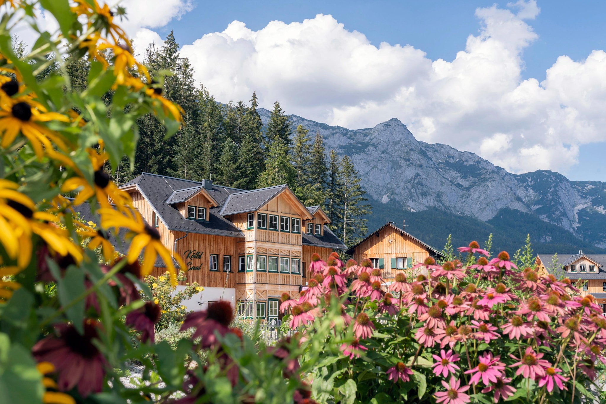 Haus Toplitzsee 2 - Ambiente