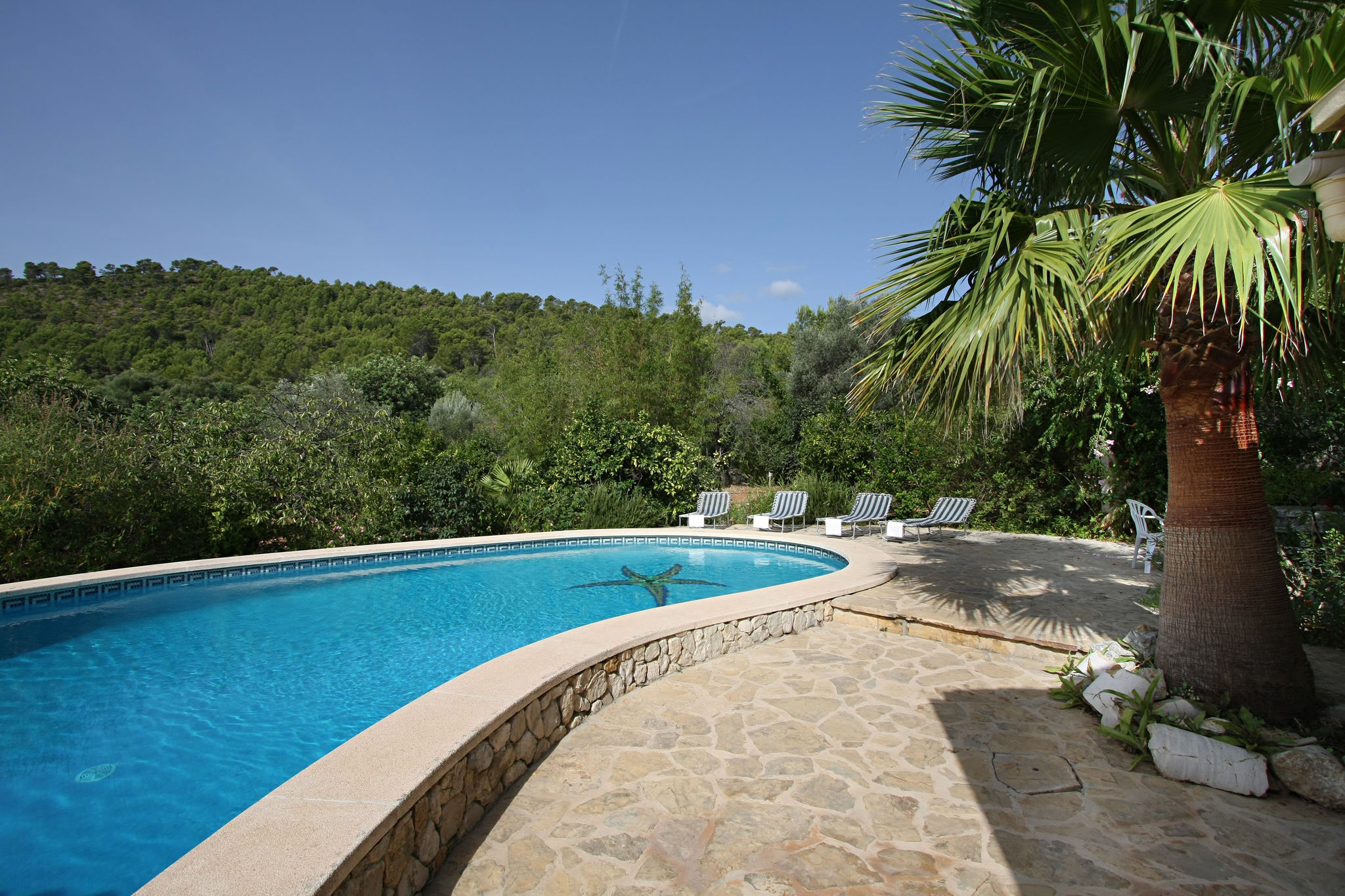 Cozy house surrounded by forest with private pool, 7 km from the sea