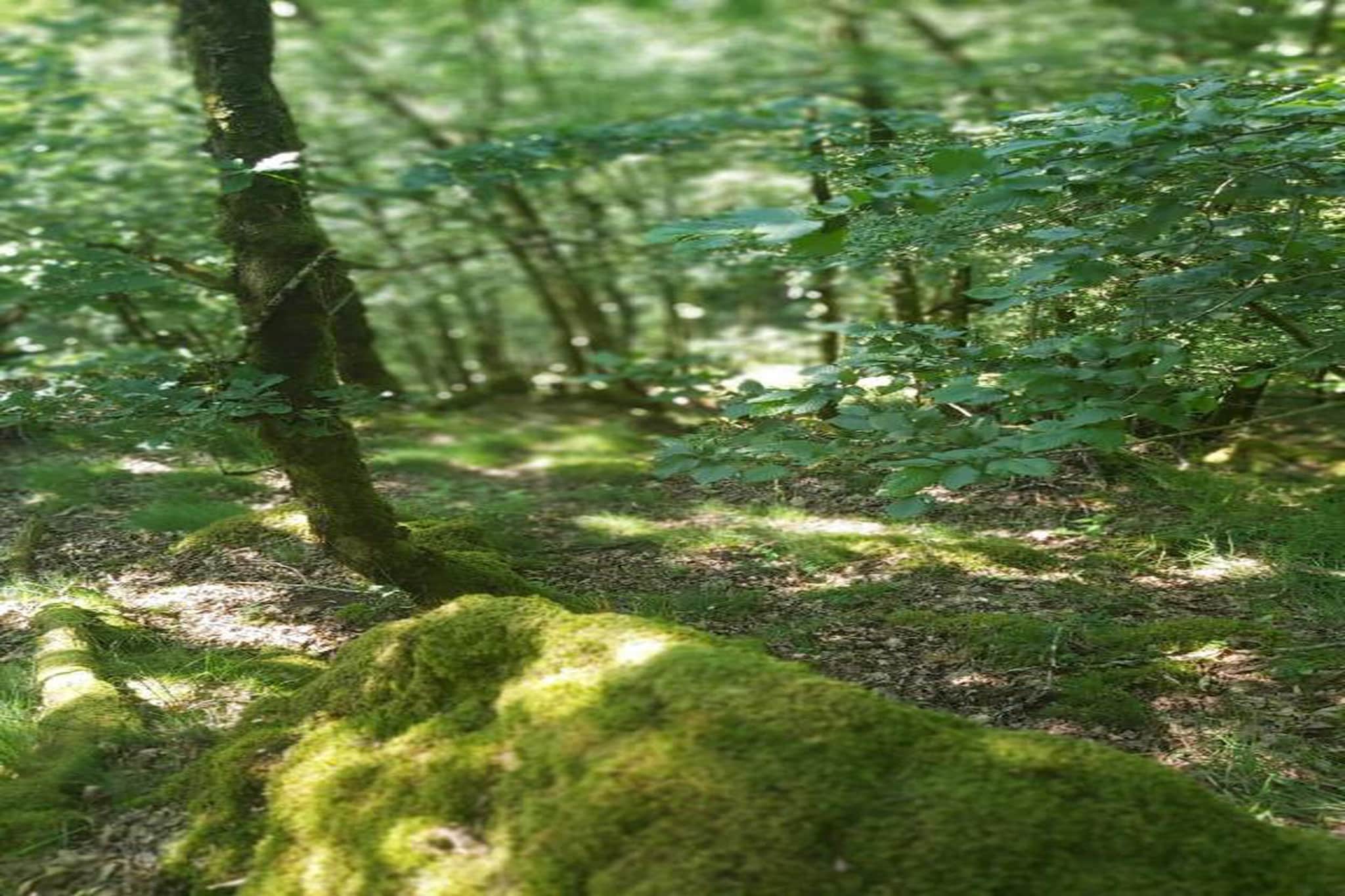 Le Haut Chambon-Gebieden zomer 20km