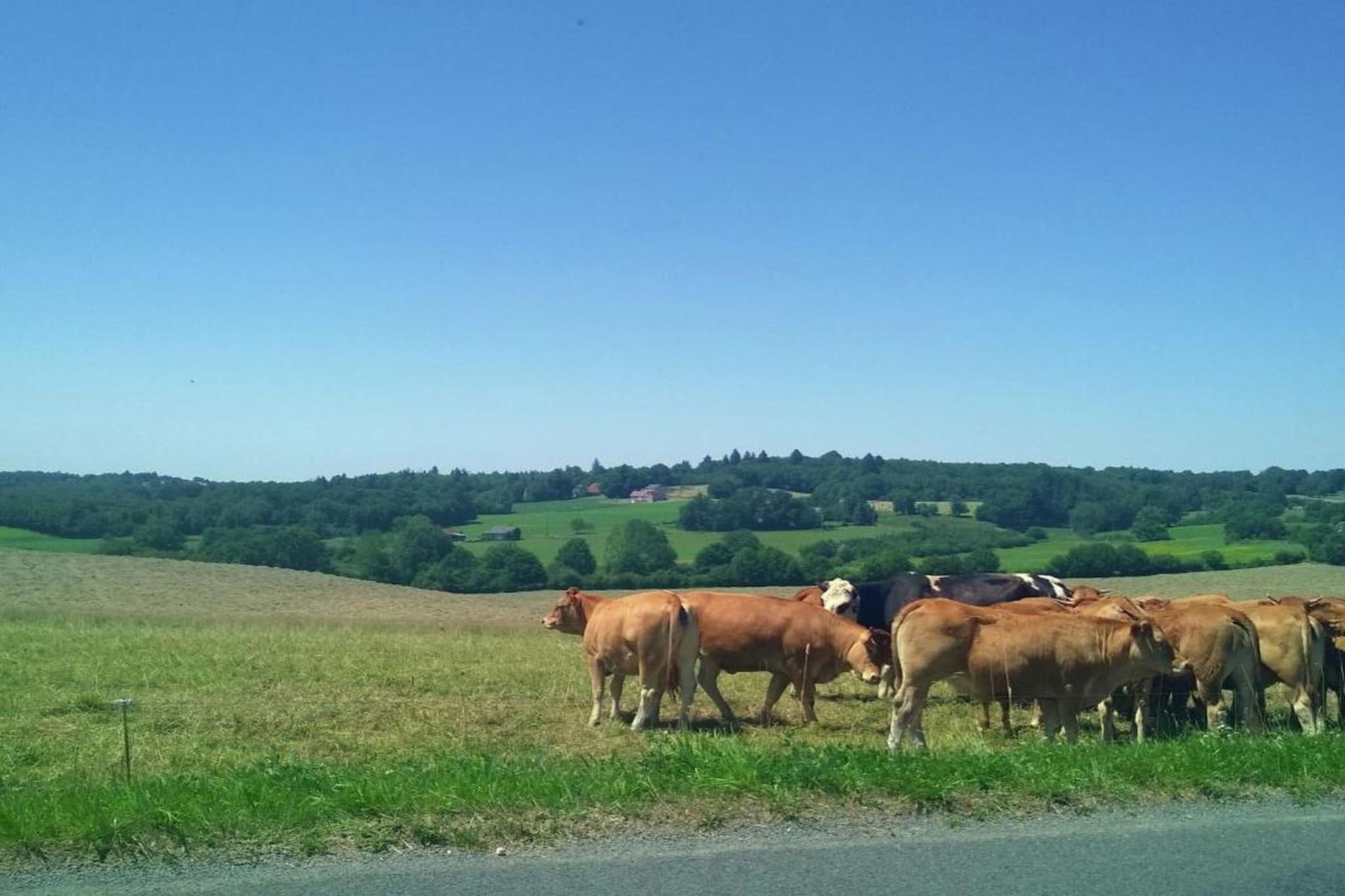 Le Haut Chambon-Gebieden zomer 20km