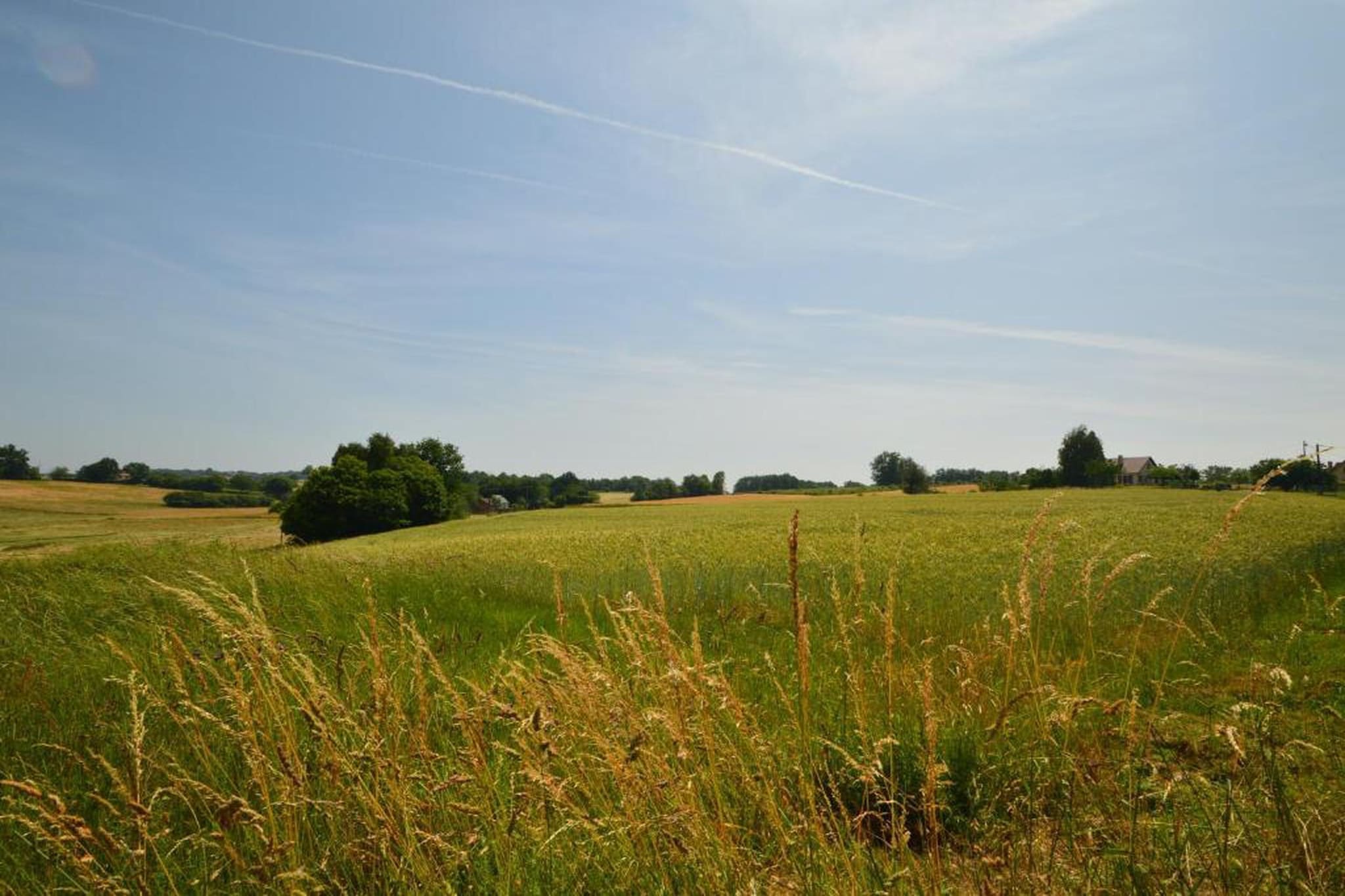 Le Haut Chambon-Gebieden zomer 20km