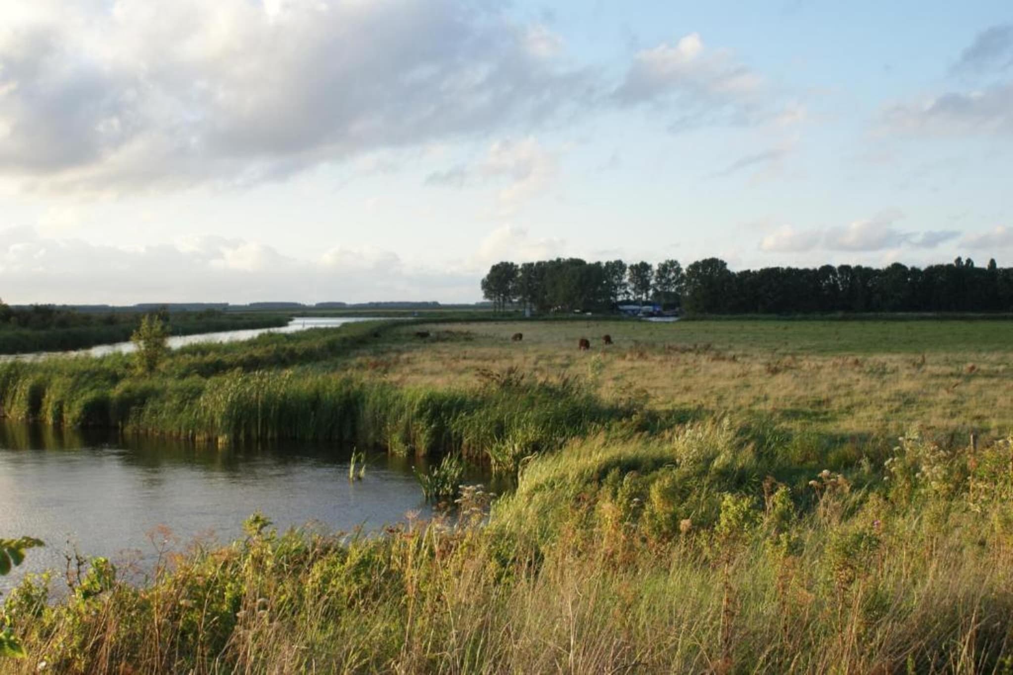 Lauwerspleats-Gebieden zomer 20km